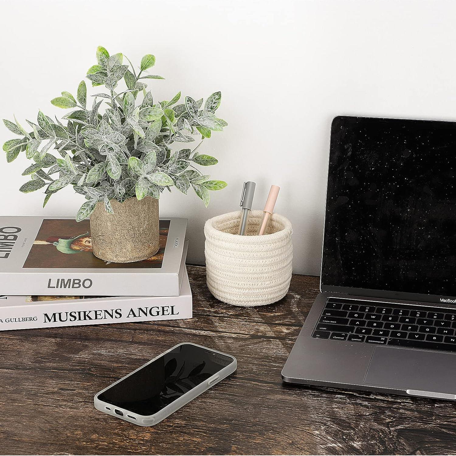 Planta Falsa Eucalipto Hopewood 24.9cm para Decoración Interior