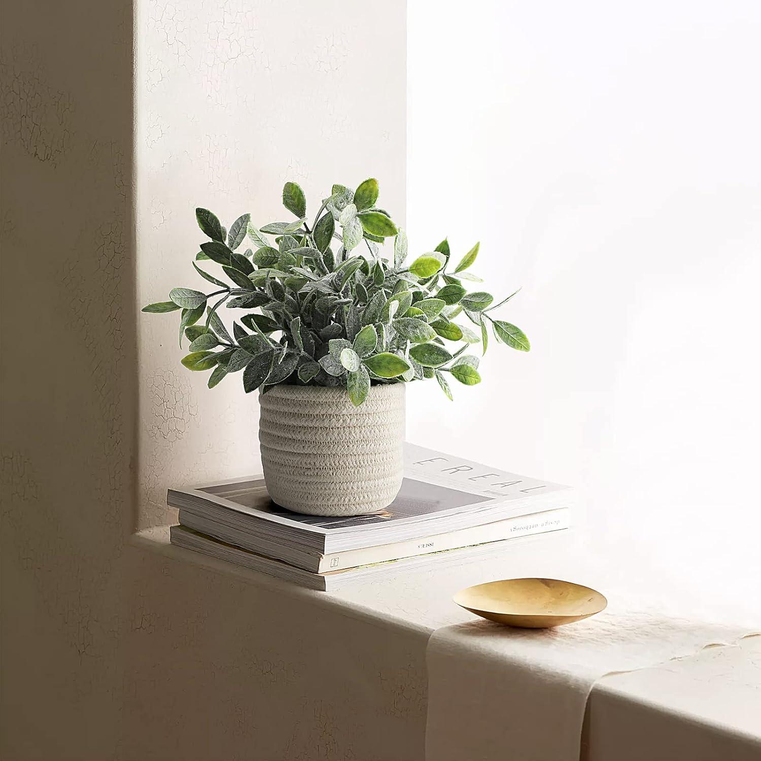 Planta Falsa Eucalipto Hopewood 24.9cm para Decoración Interior