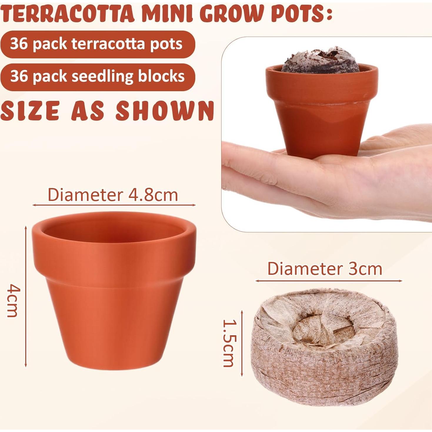 Kit de Jardinería Hushee: 36 Macetas Mini Terracota y Bloques