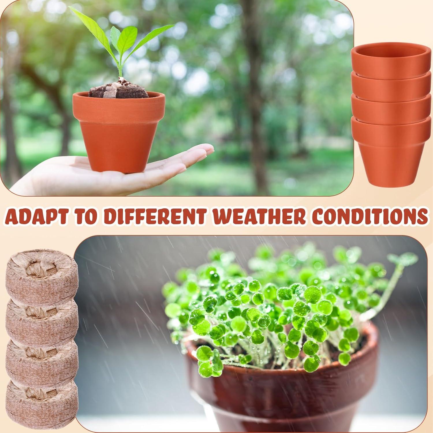 Kit de Jardinería Hushee: 36 Macetas Mini Terracota y Bloques