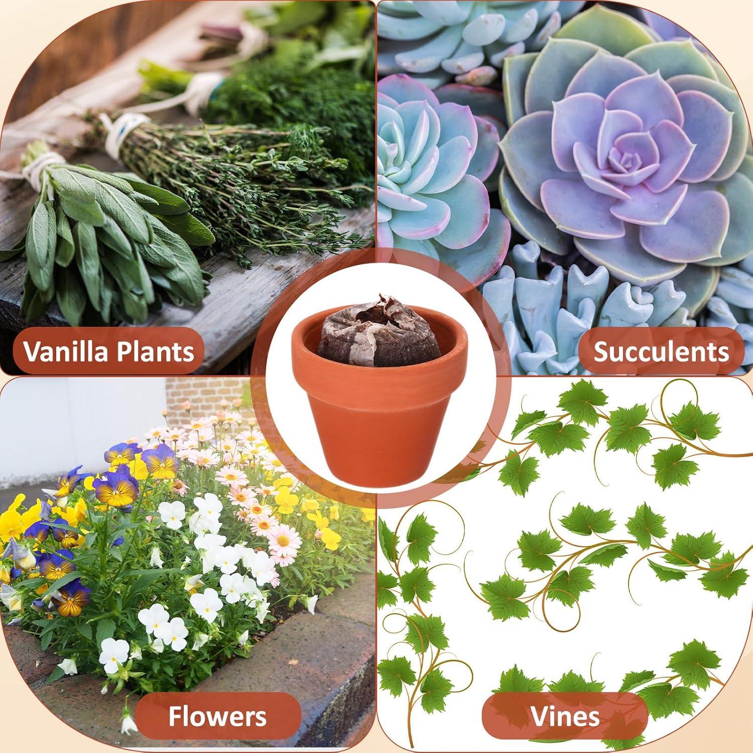 Kit de Jardinería Hushee: 36 Macetas Mini Terracota y Bloques