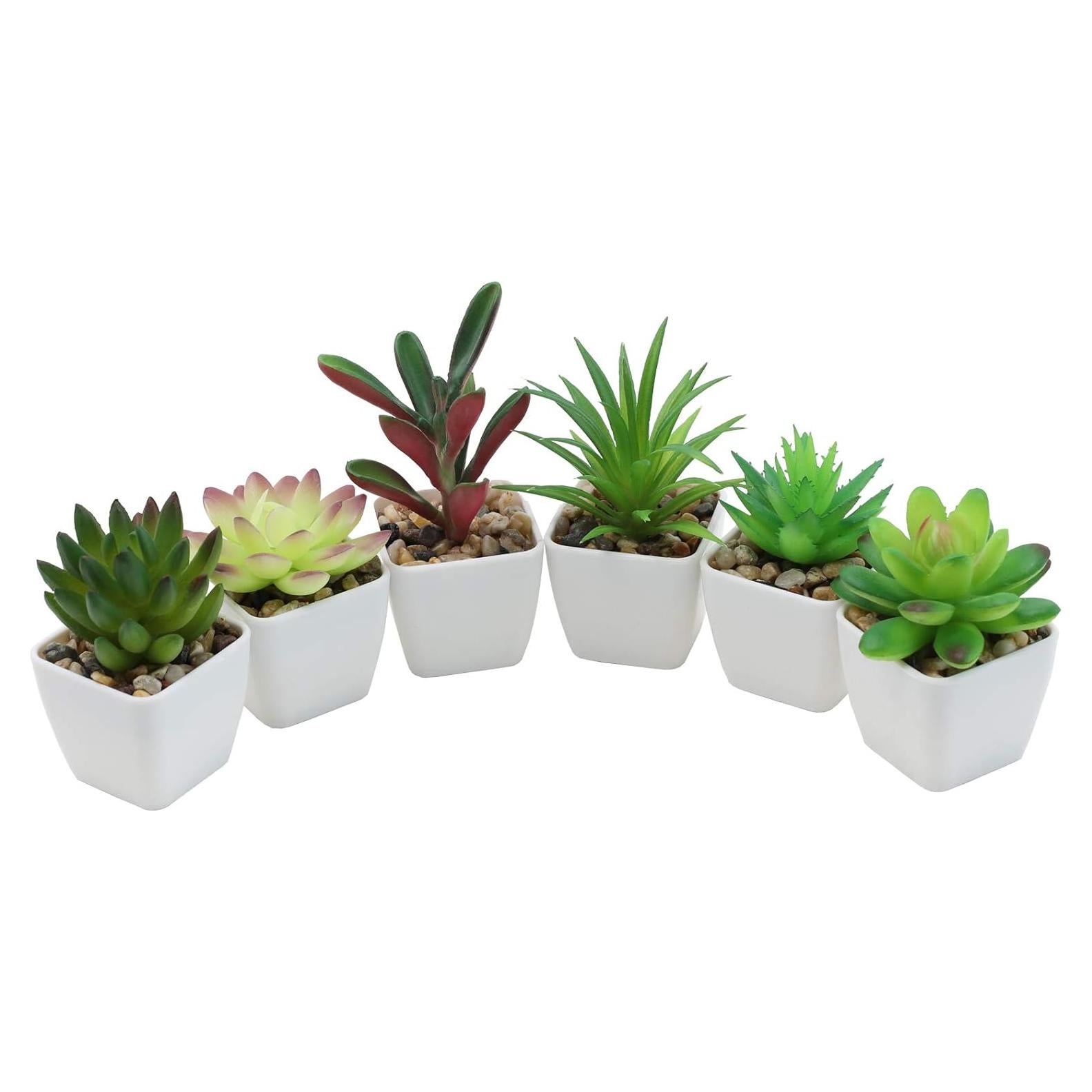 Set de 6 Plantas Suculentas Artificiales Nubry en Macetas Blancas