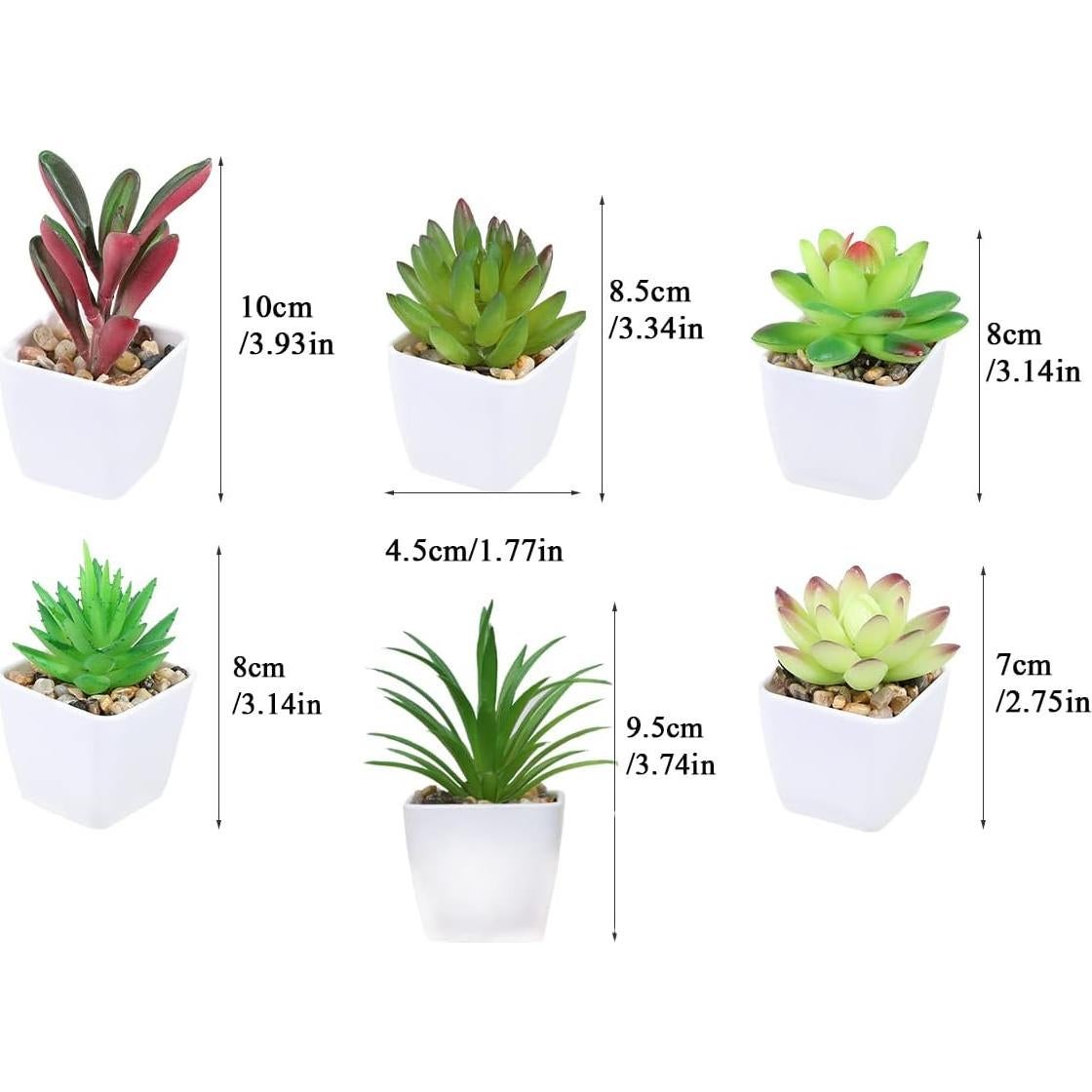 Set de 6 Plantas Suculentas Artificiales Nubry en Macetas Blancas