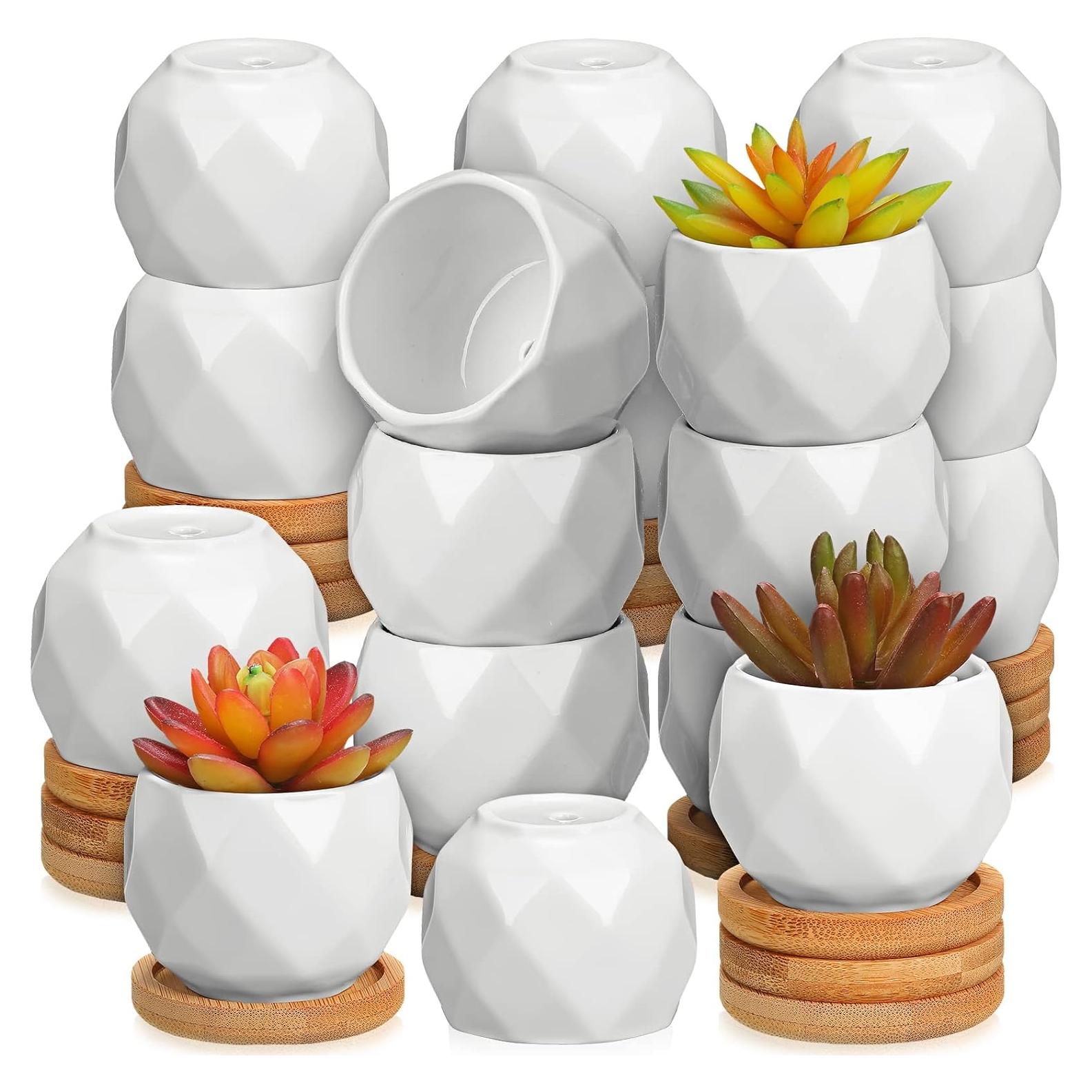 Macetas Suculentas Cerámica Gerrii 24 Pcs con Drenaje