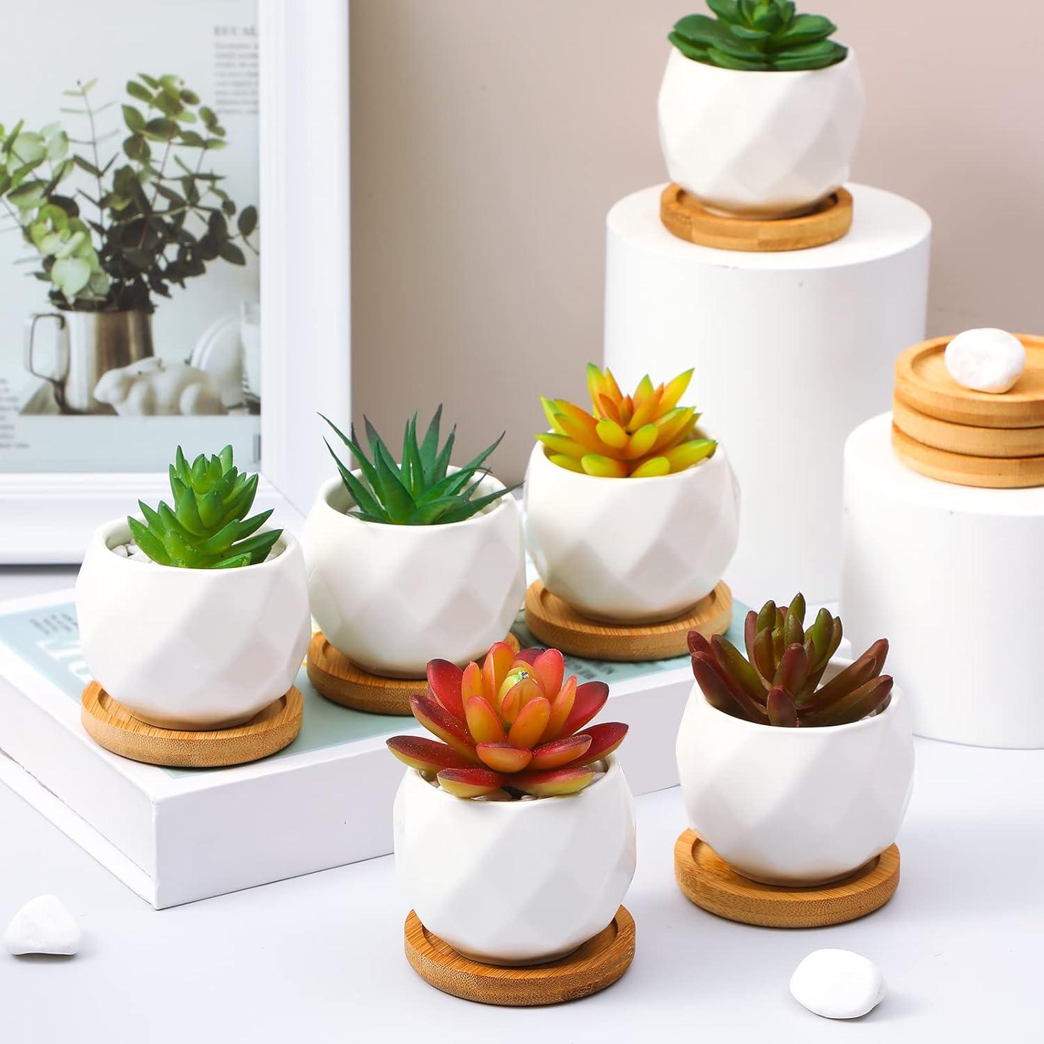 Macetas Suculentas Cerámica Gerrii 24 Pcs con Drenaje