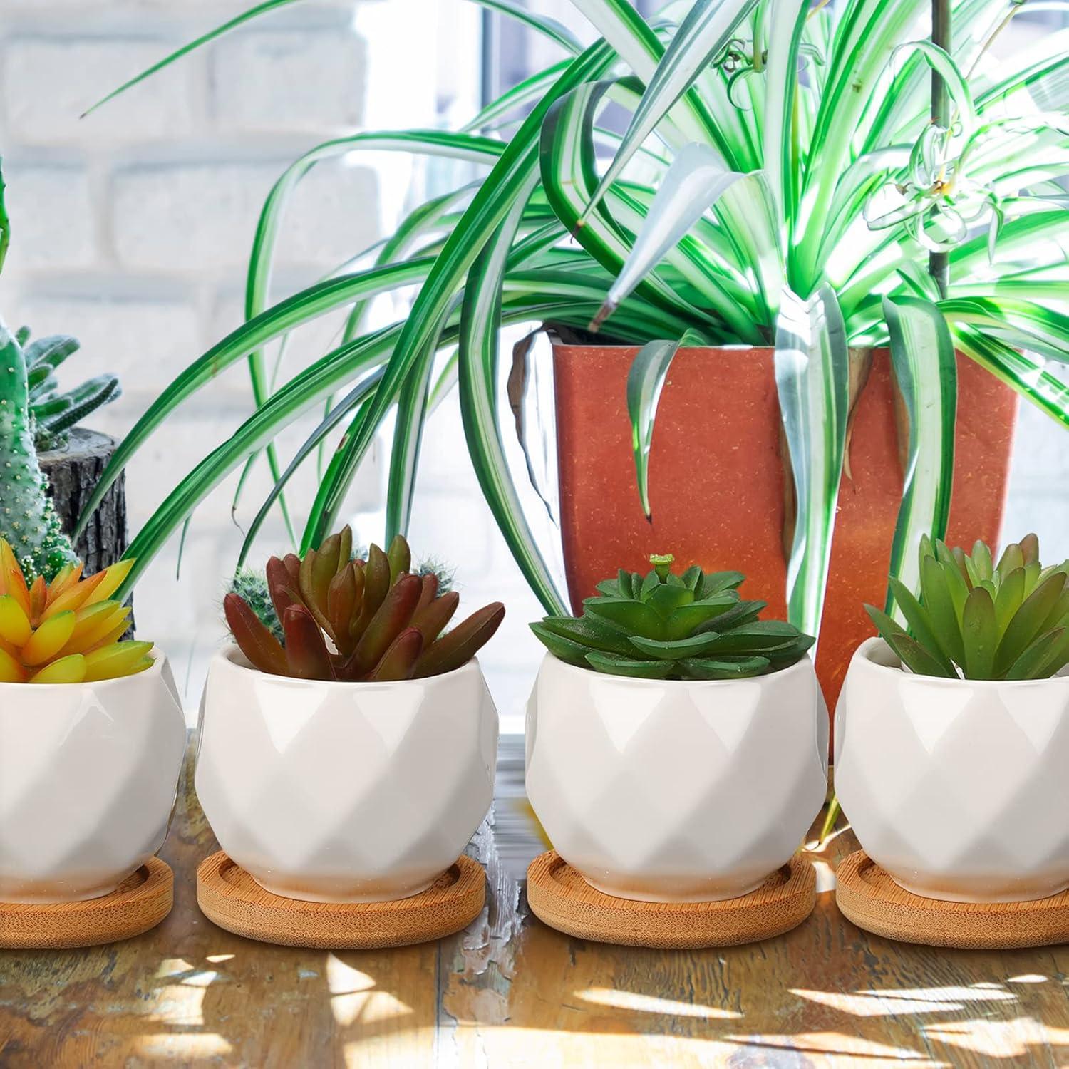 Macetas Suculentas Cerámica Gerrii 24 Pcs con Drenaje