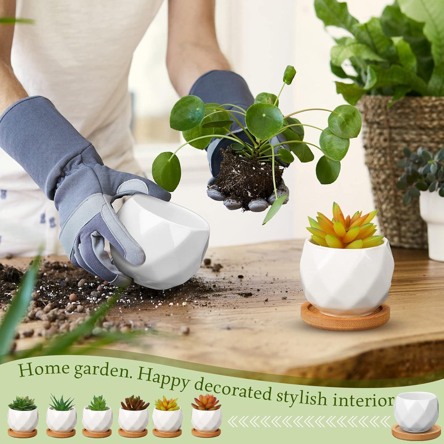 Macetas Suculentas Cerámica Gerrii 24 Pcs con Drenaje