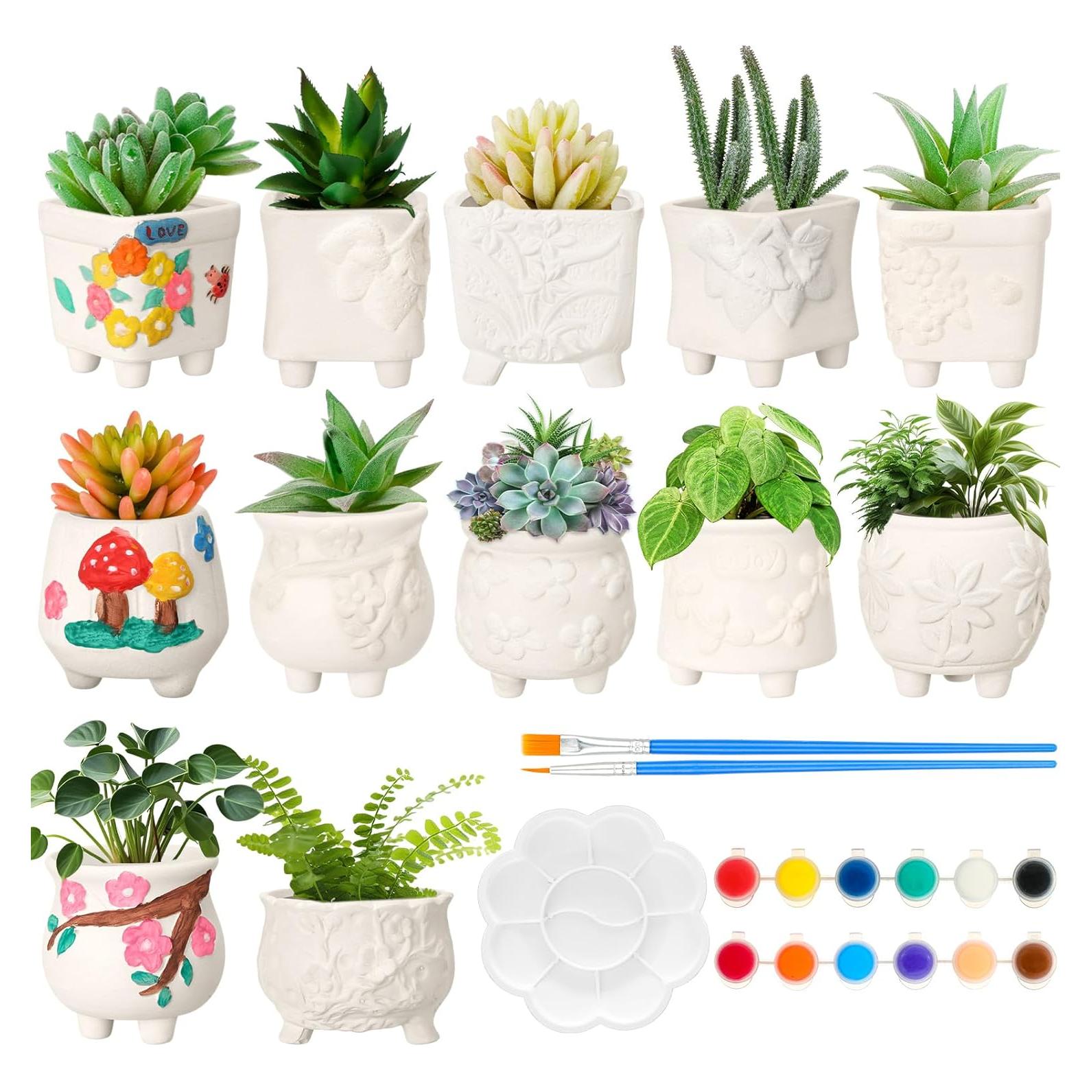 Hushee 12 Macetas Cerámicas Pintables para Suculentas DIY
