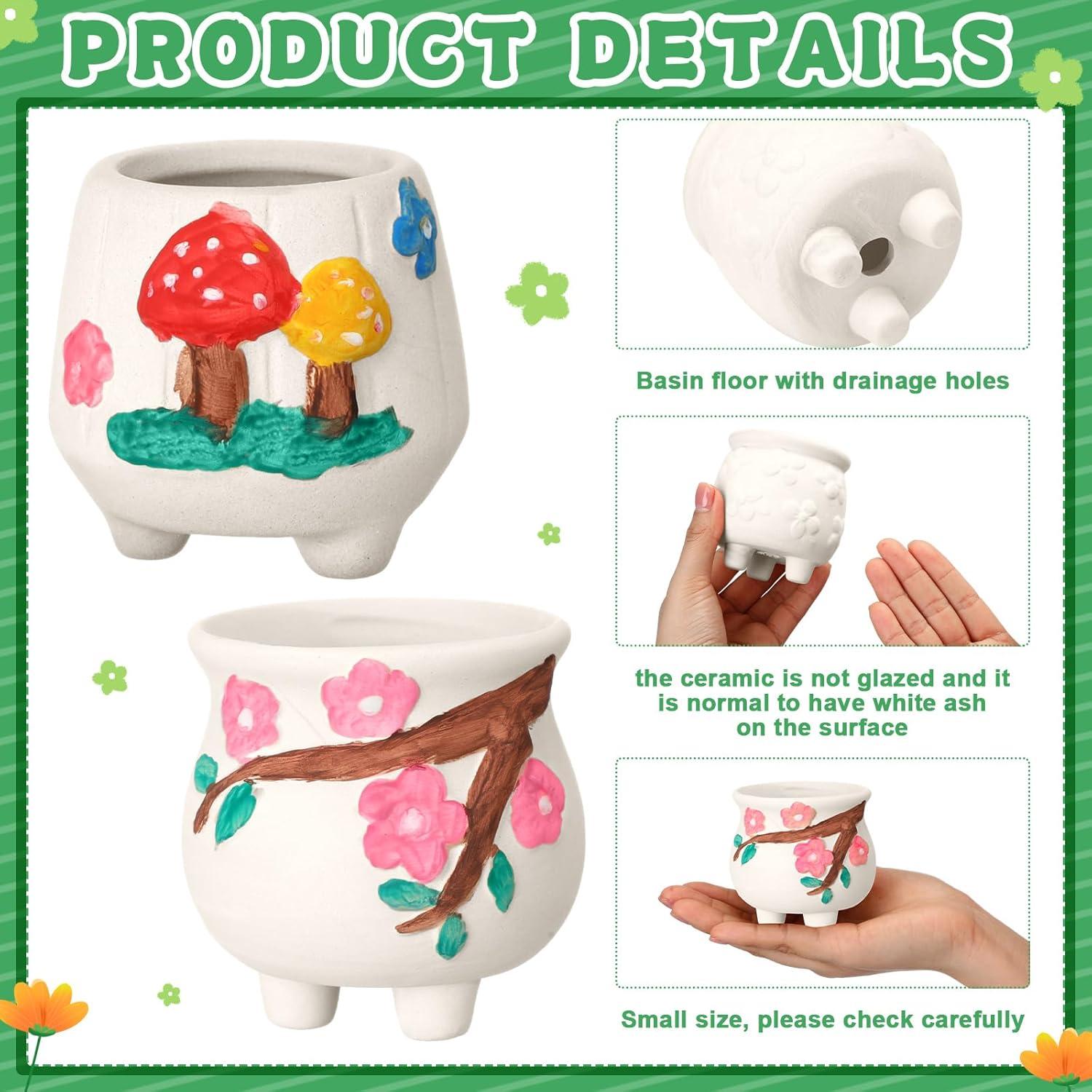 Hushee 12 Macetas Cerámicas Pintables para Suculentas DIY