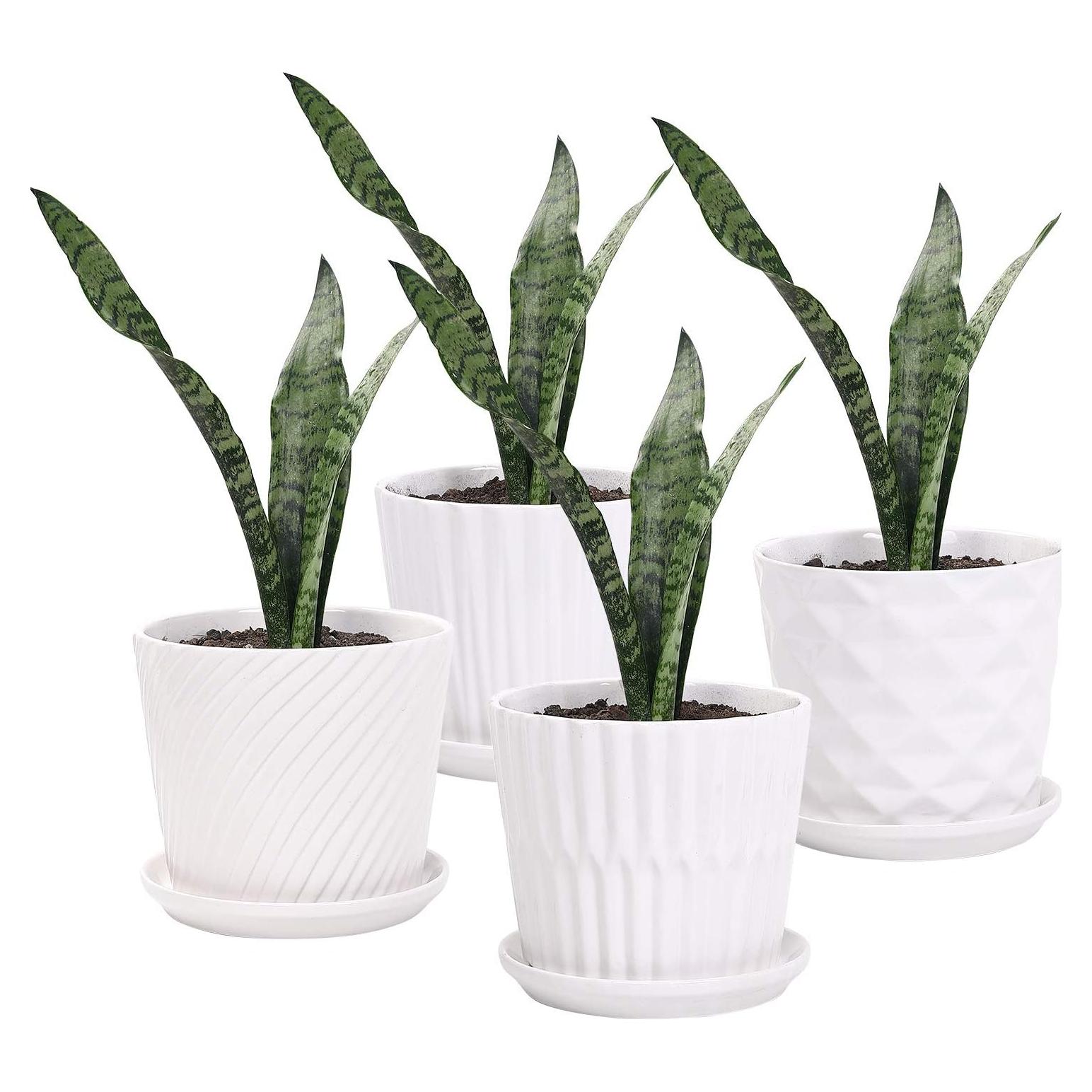 Juego de 4 Macetas de Cerámica Cilíndricas 14 cm Sietpoek