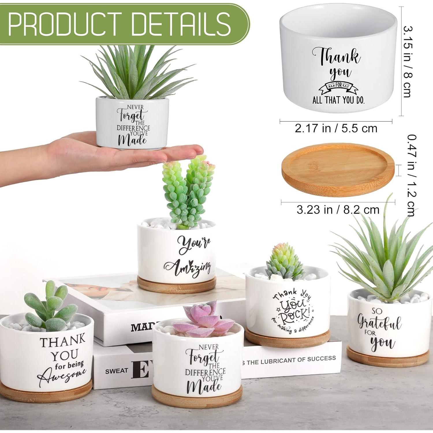 30 Macetas Suculentas Cerámica Yaomiao con Bandejas Bambú