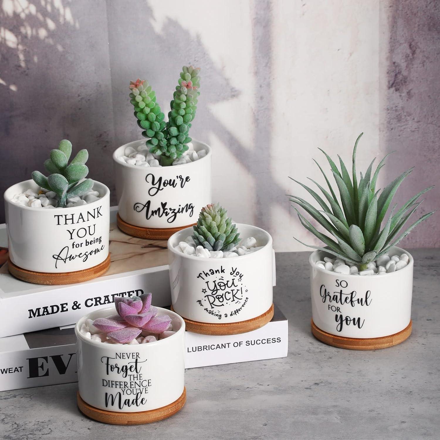 30 Macetas Suculentas Cerámica Yaomiao con Bandejas Bambú