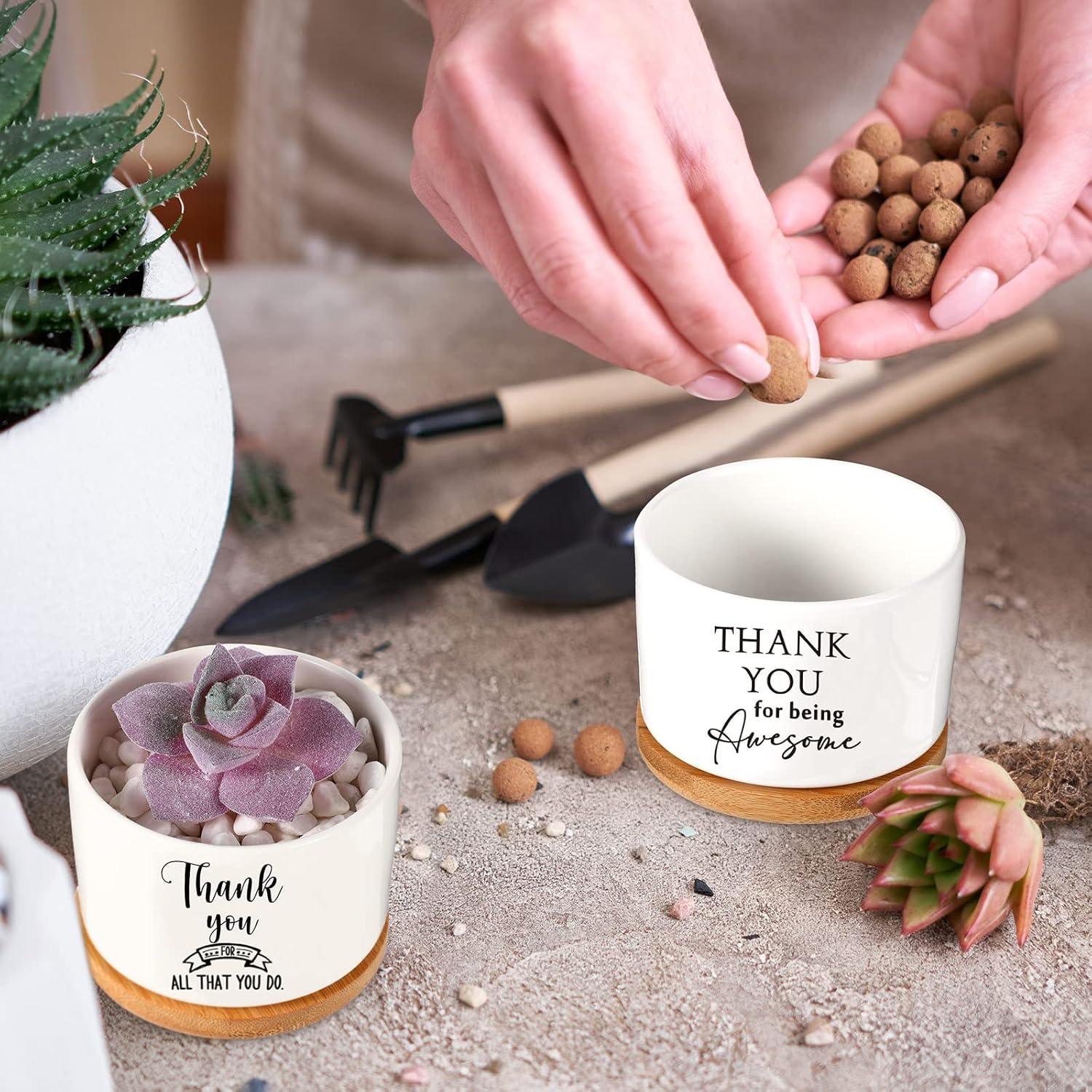 30 Macetas Suculentas Cerámica Yaomiao con Bandejas Bambú