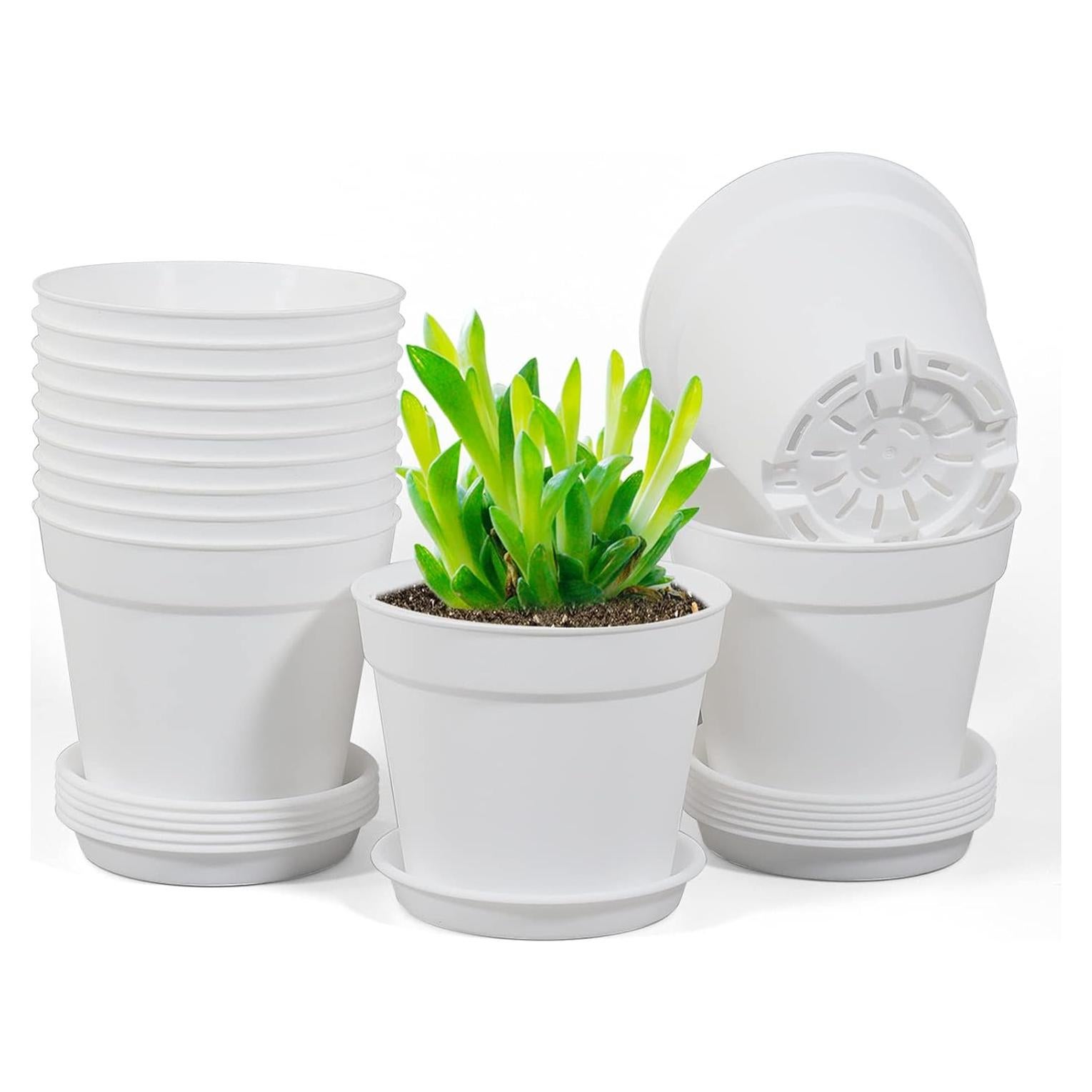 Paquete de 12 macetas de plástico Olisx 10 cm con plato y drenaje