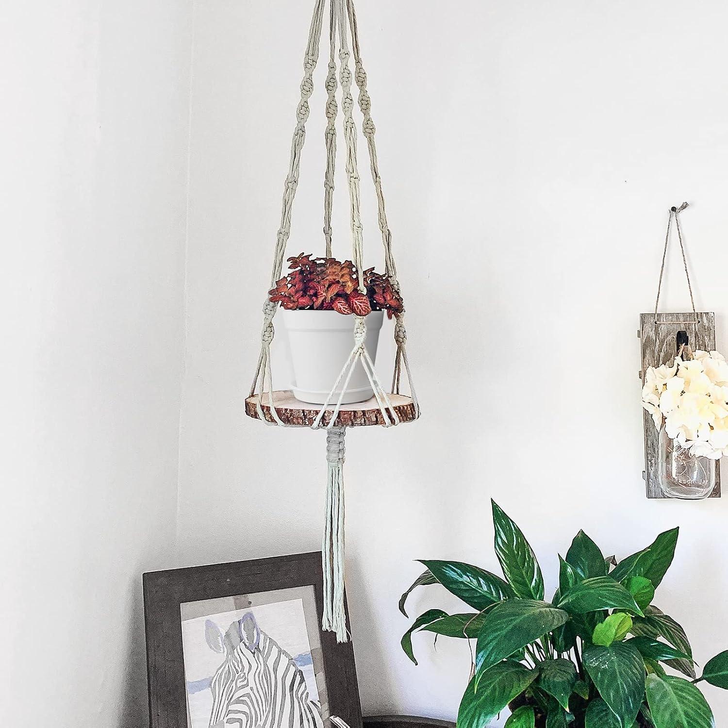 Paquete de 12 macetas de plástico Olisx 10 cm con plato y drenaje