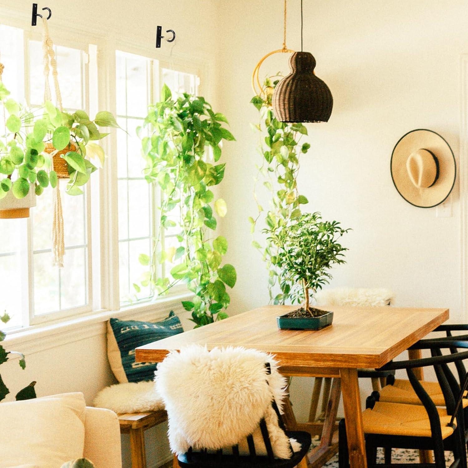 Ganchos de Techo AnDock para Colgar Plantas - 2 Paquete 50kg