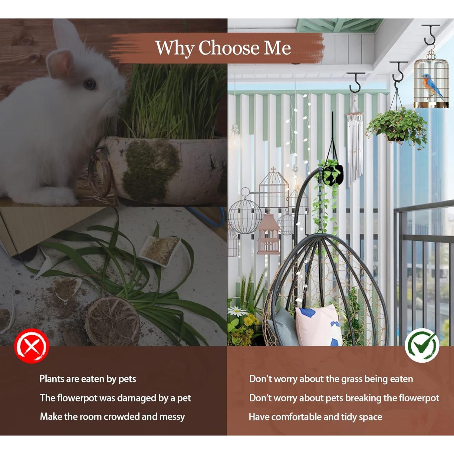 Ganchos de Techo ASZUNE 2.5in (6.35cm) para Plantas - 2 Piezas