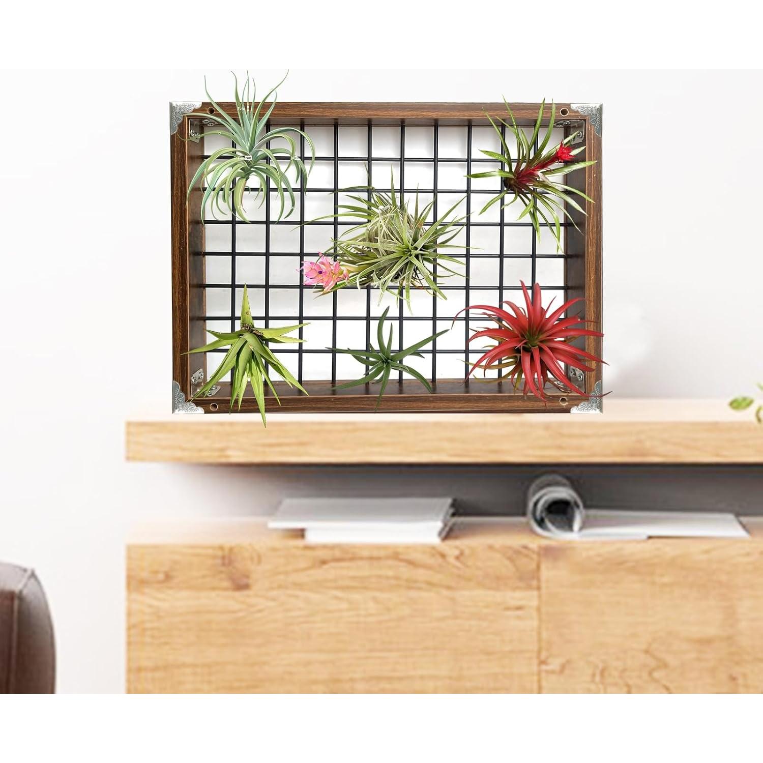 Colgador de Plantas Colgante Lilybud 40 cm Metal y Madera