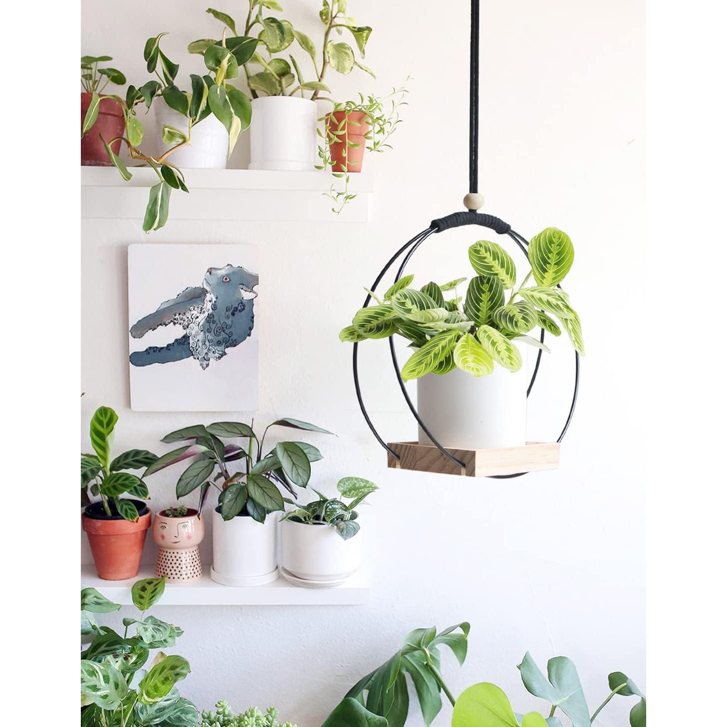 Soporte Colgante para Plantas Dravmola Negro con Base de Madera