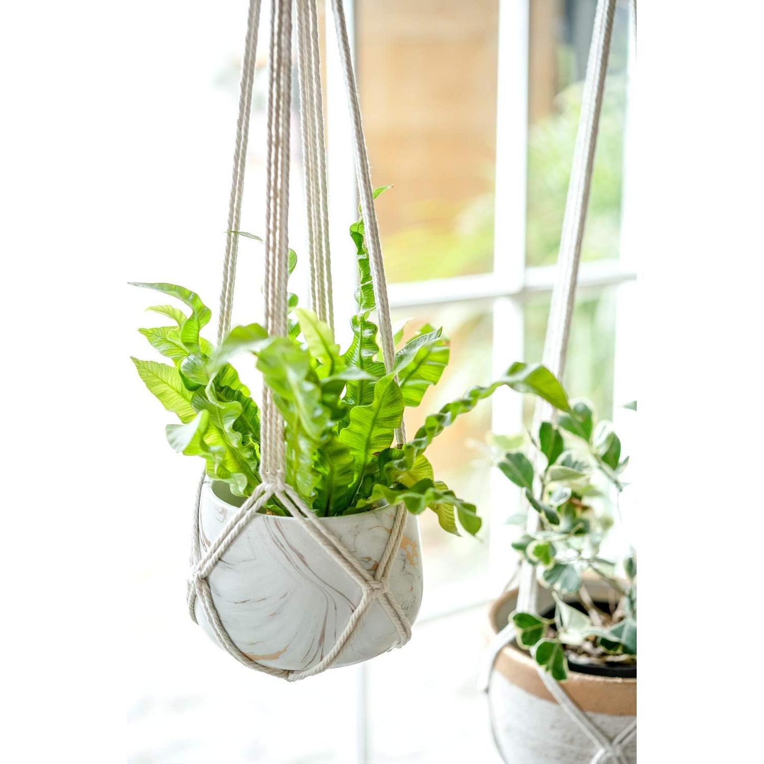 Colgador de Plantas de Macramé Dahey, 88.9 cm, Juego de 2