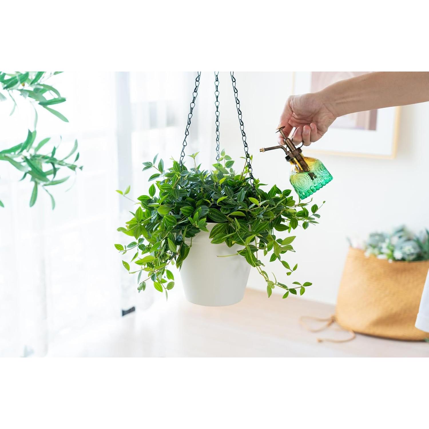 Maceta Colgante Melphoe Autorriego 20 cm Multicolor Paquete 3