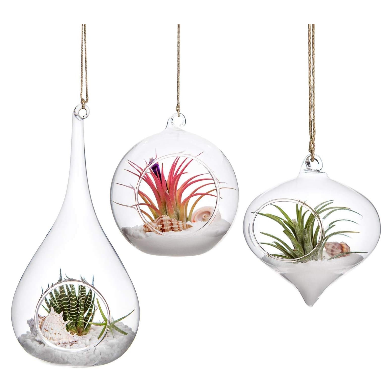 Mkono 3 Terrarios Colgantes de Vidrio para Plantas - Oliva, Globo, Gota