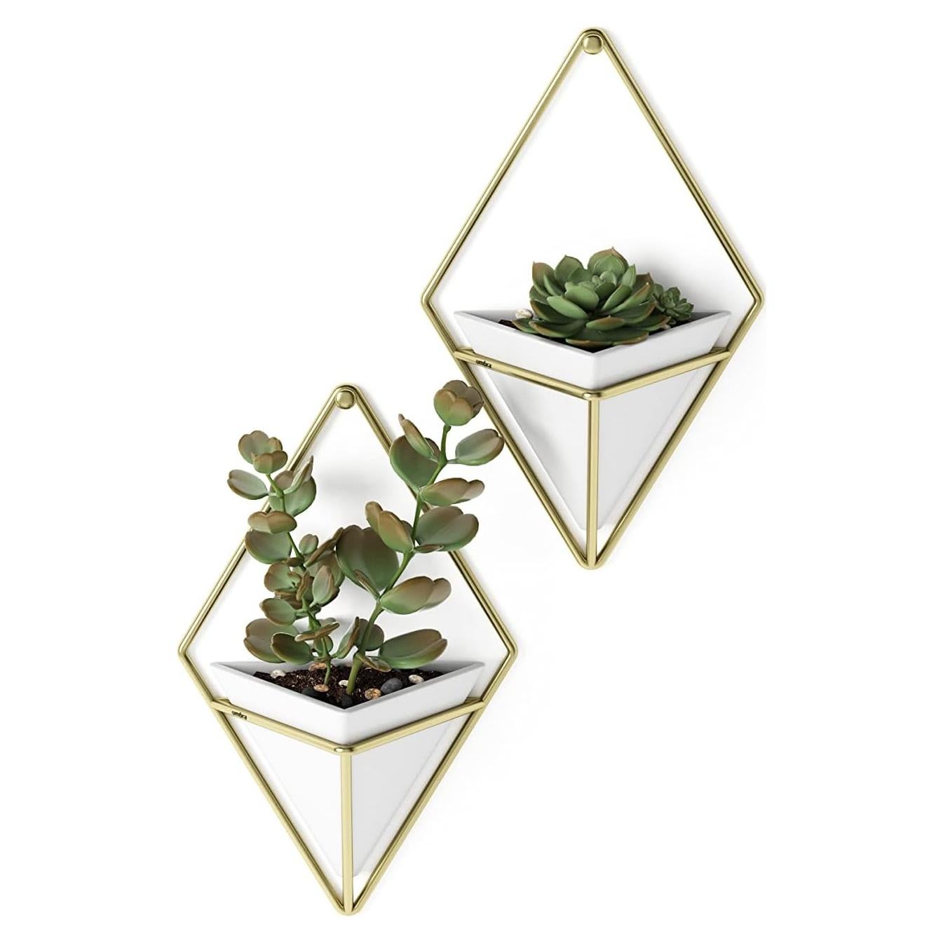 Maceta Colgante Umbra Trigg Pequeña Blanca y Latón, Juego de 2
