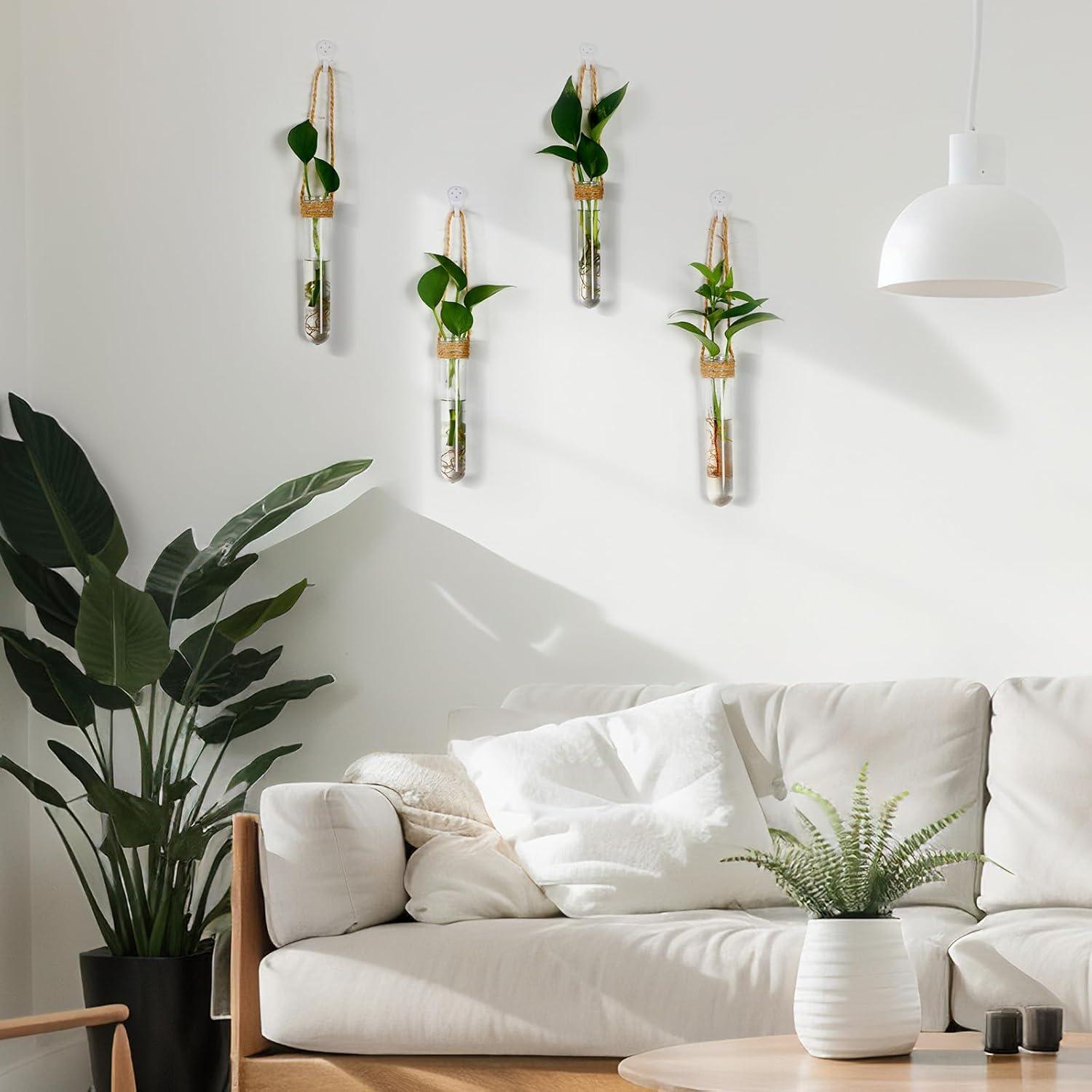 Baderke 6 Tubos de Propagación de Plantas Colgantes 14 cm