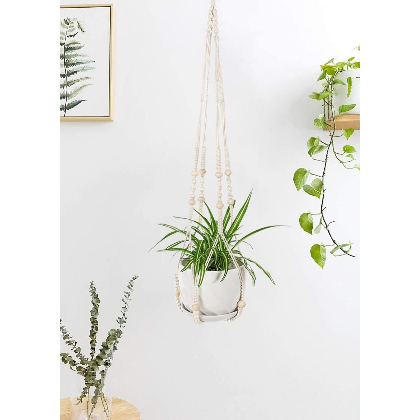 Colgador de Plantas de Macramé WXS-CHALL 109 cm Marfil