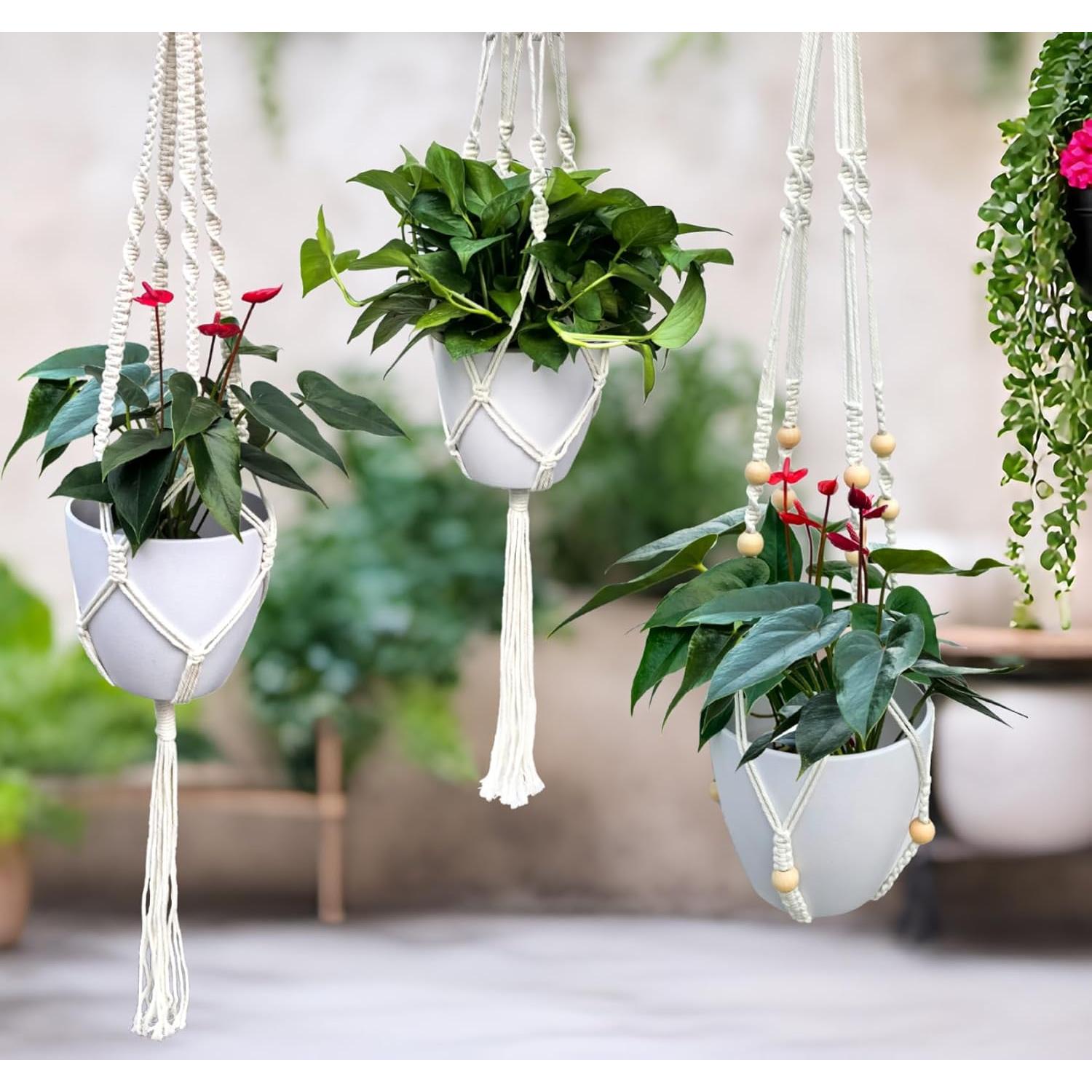 Ganchos de Techo para Plantas WIWUE GUO - 3 Paquete Boho