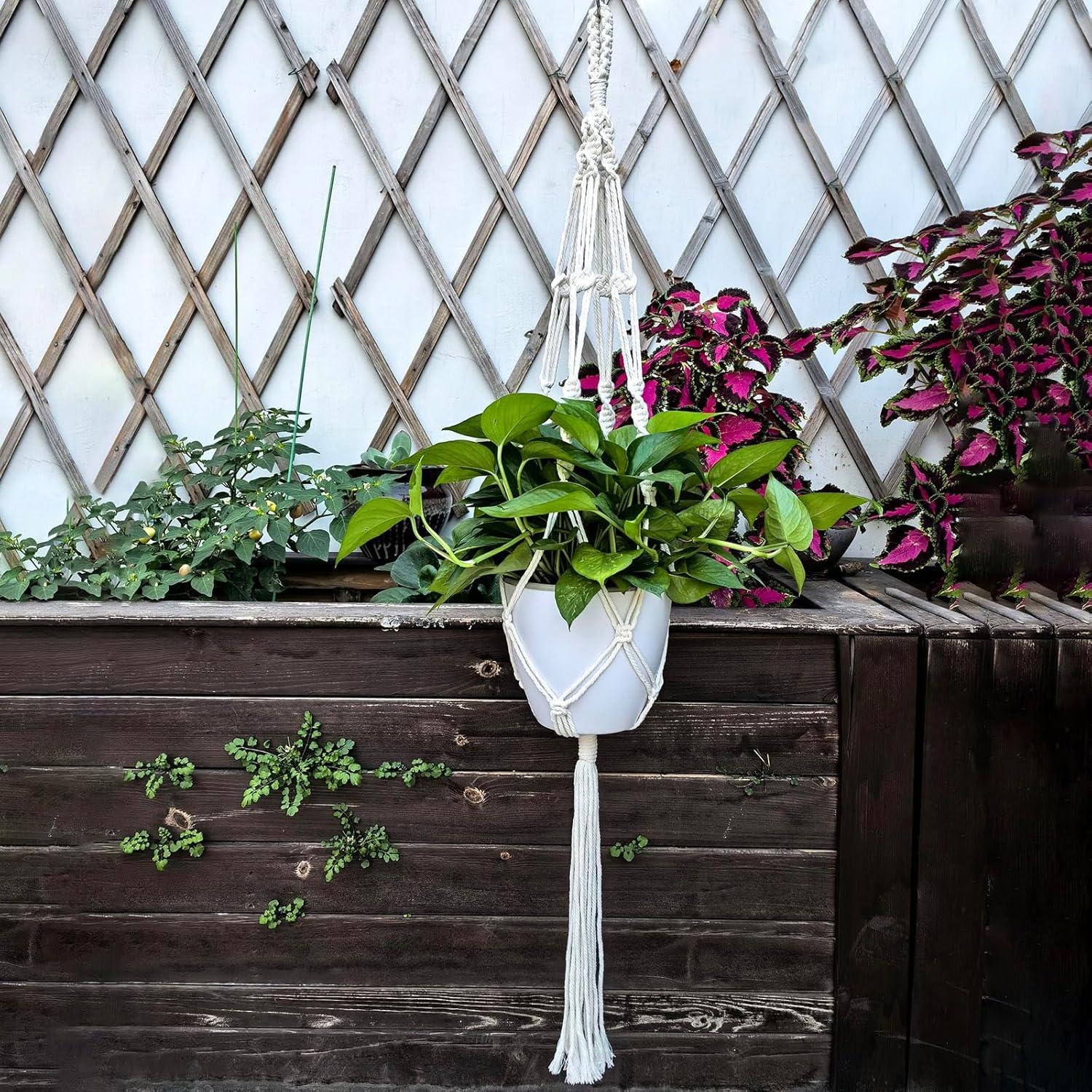 Ganchos de Techo para Plantas WIWUE GUO - 3 Paquete Boho