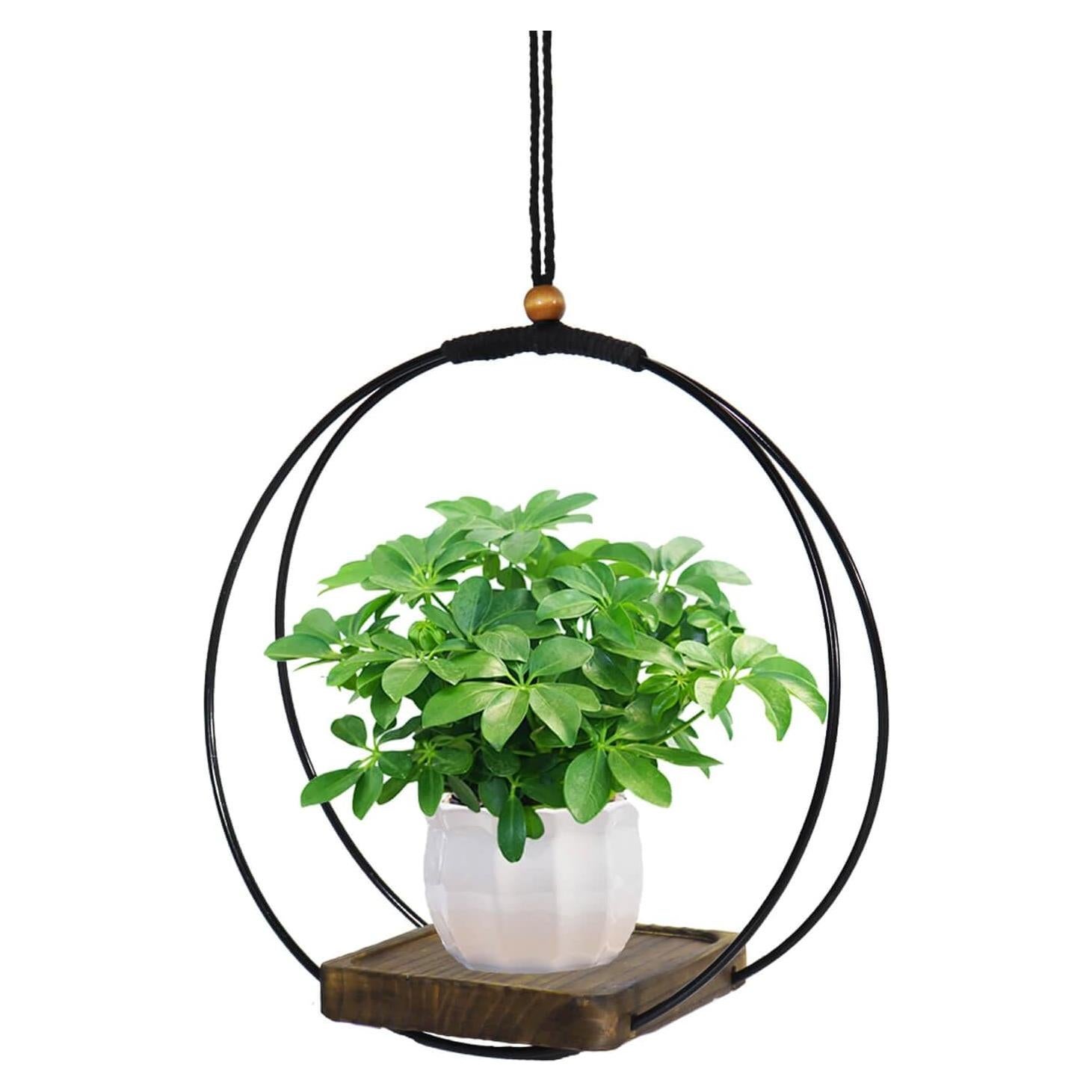 Maceta Colgante Vensovo para Plantas de Interior - 1 Pcs con Soporte de Metal y Base de Madera