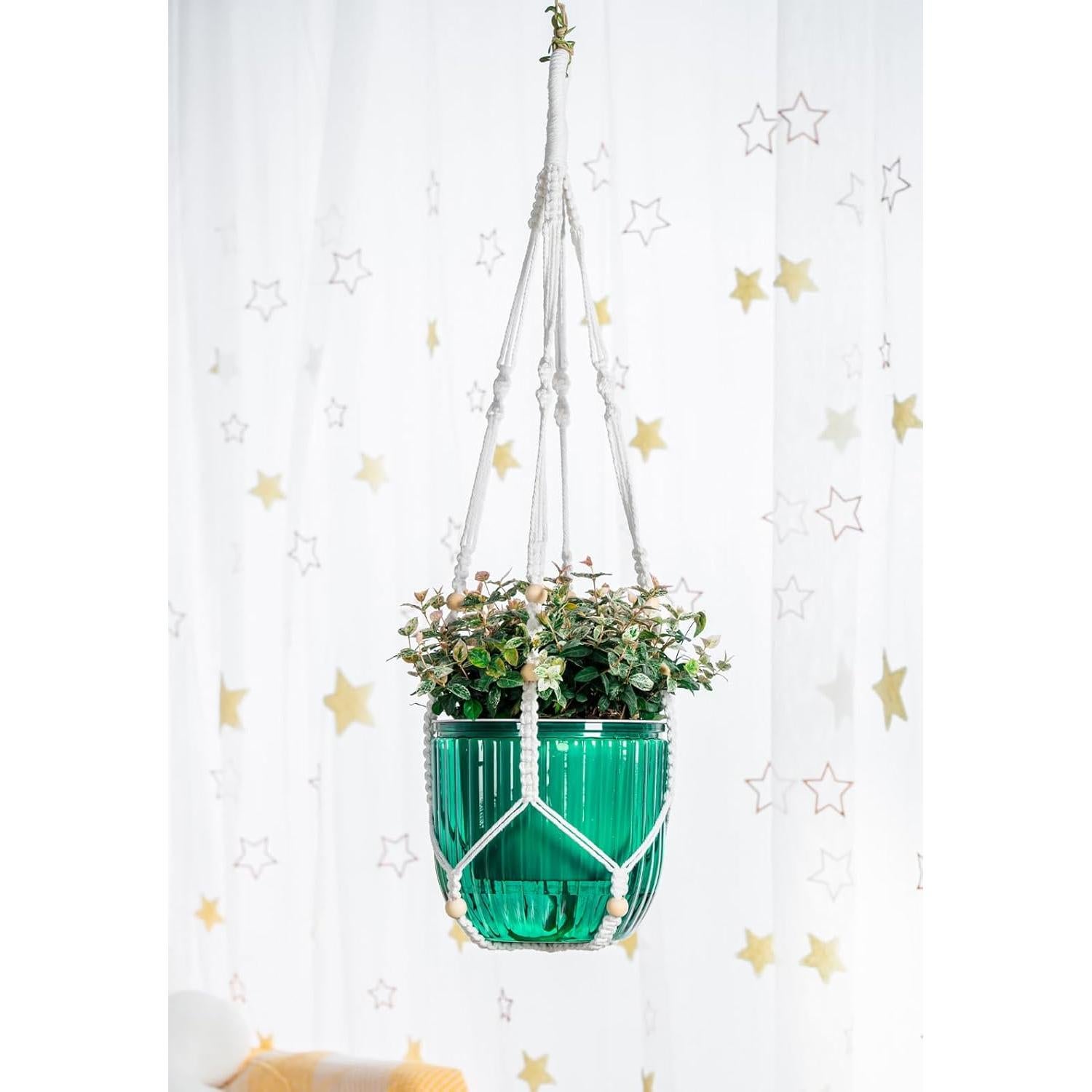 Maceta Colgante Autorriego Melphoe 21 cm con Ganchos