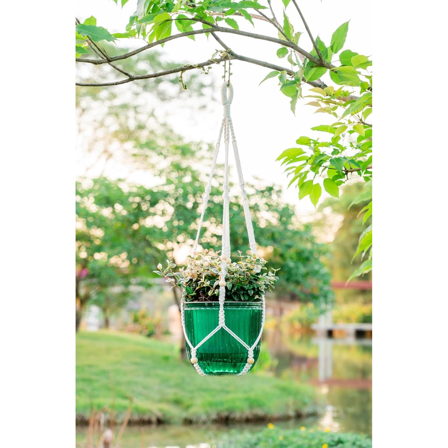 Maceta Colgante Autorriego Melphoe 21 cm con Ganchos