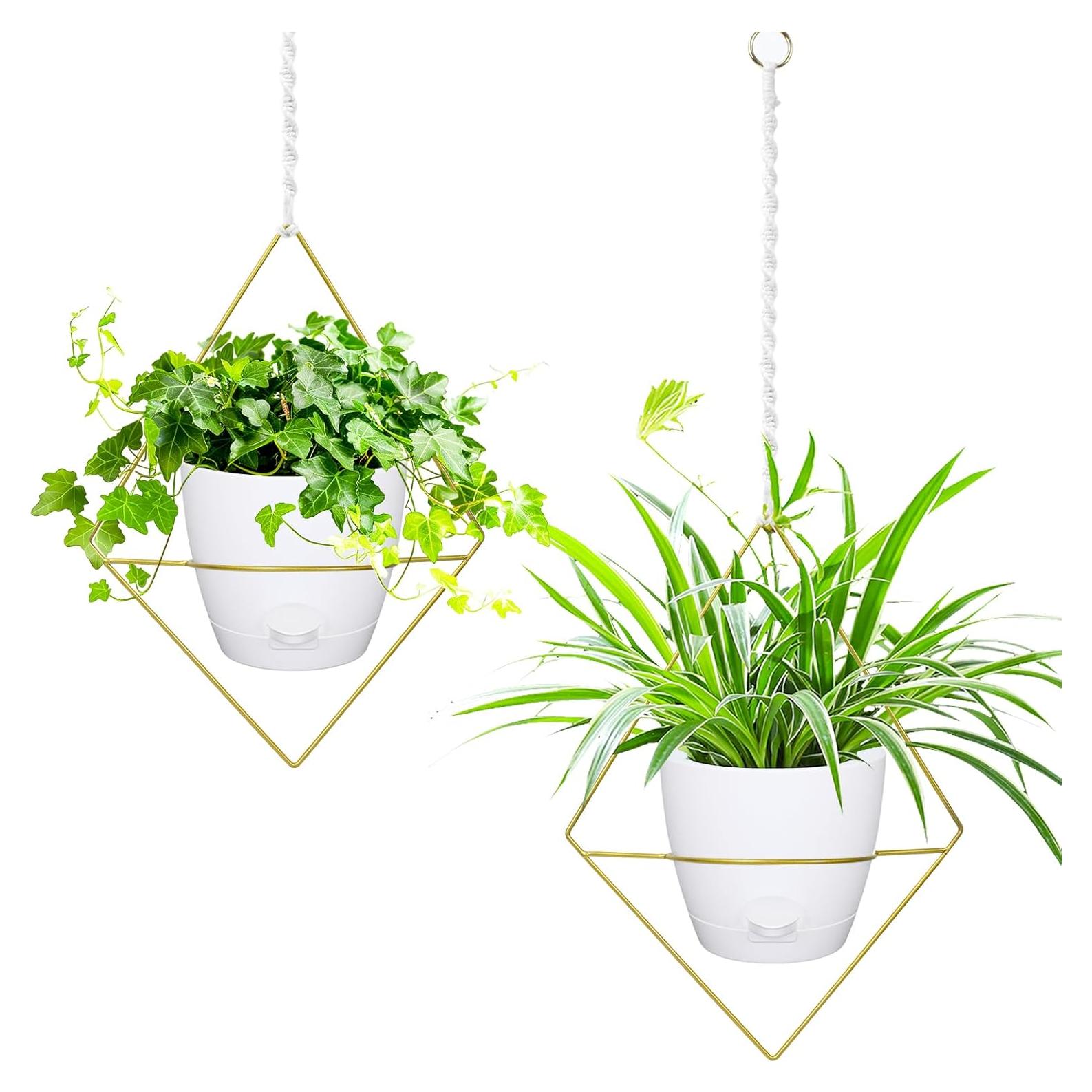 Macetas Colgantes Autorriego Koalaime 16.5cm 2 Piezas