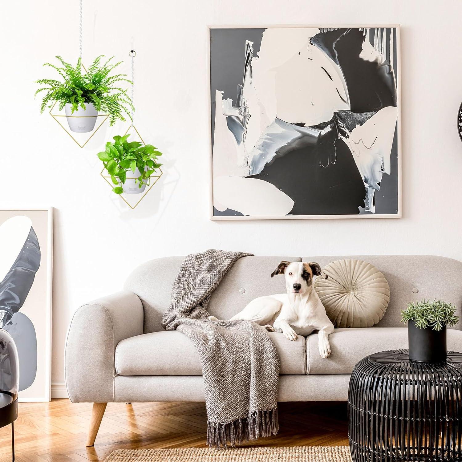 Macetas Colgantes Autorriego Koalaime 16.5cm 2 Piezas