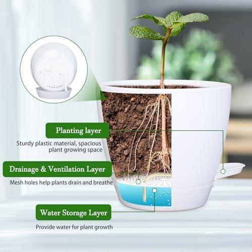 Macetas Colgantes Autorriego Koalaime 16.5cm 2 Piezas