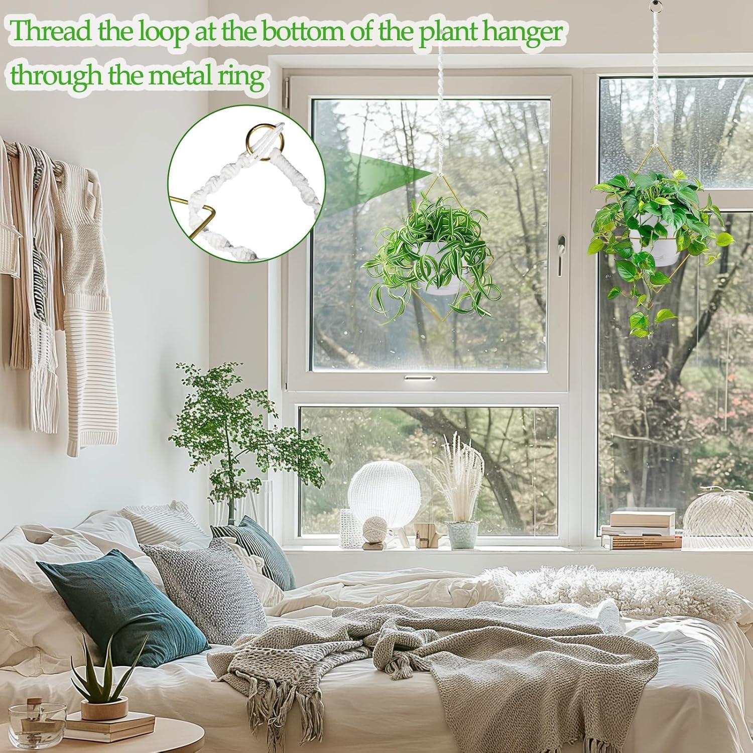 Macetas Colgantes Autorriego Koalaime 16.5cm 2 Piezas