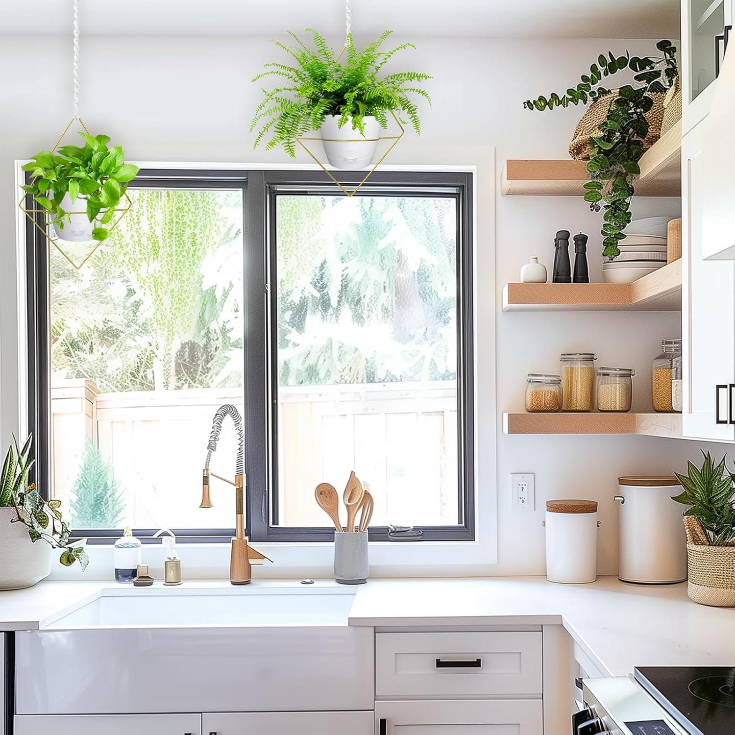 Macetas Colgantes Autorriego Koalaime 16.5cm 2 Piezas