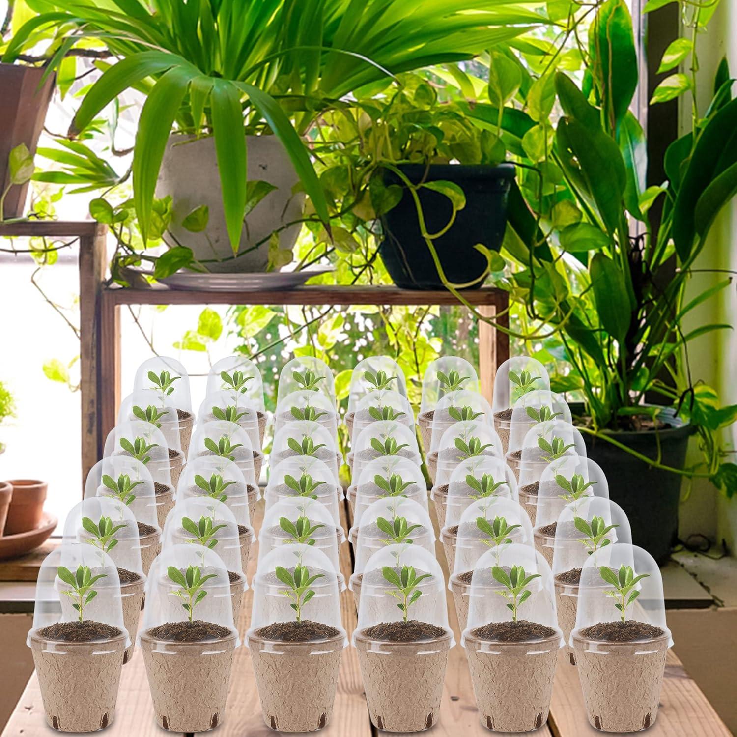 Set de 36 Macetas Biodegradables winemana con Dome de Humedad