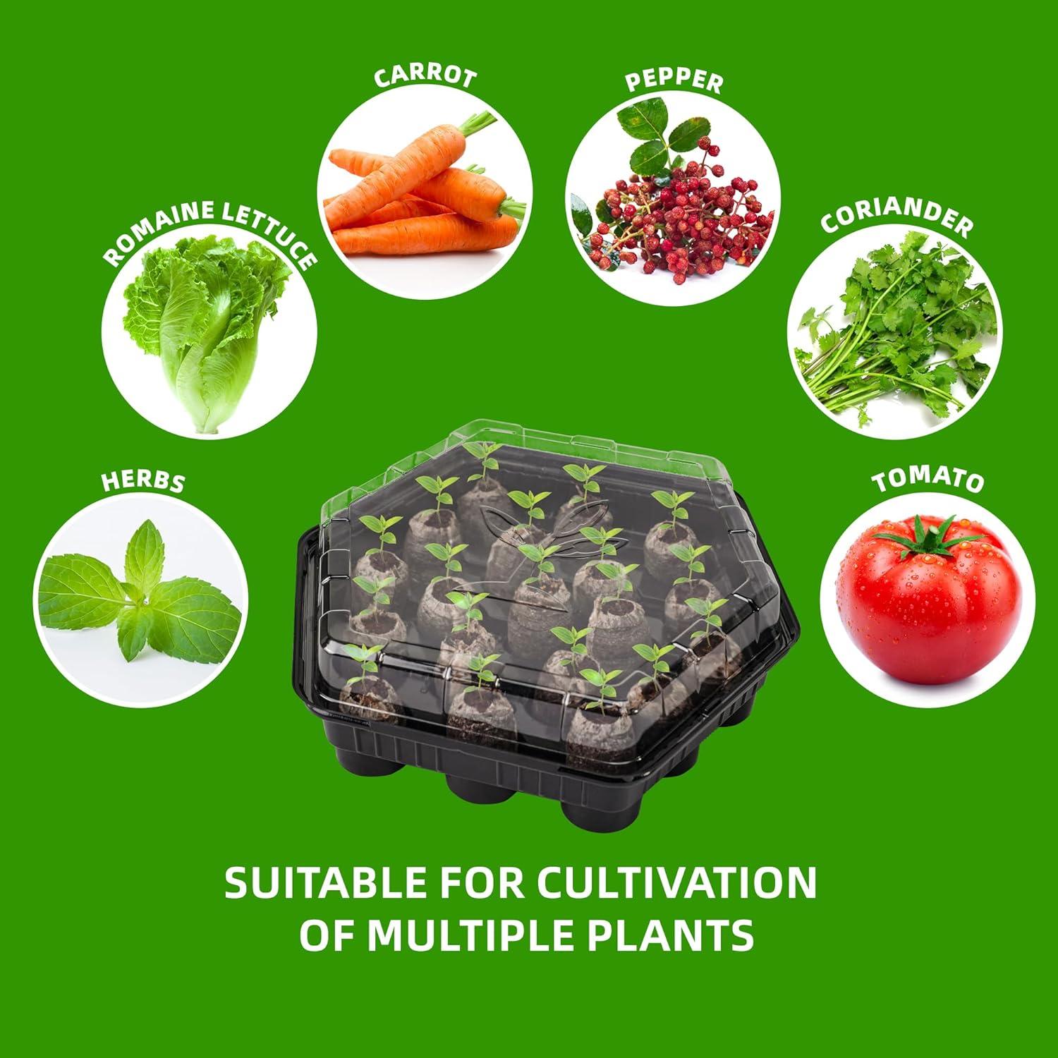 Kit de Inicio de Semillas UCandy con 100 Pellets de Turba