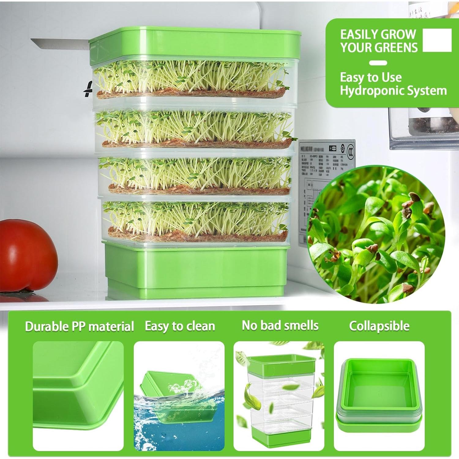 Kit de Germinación de Semillas PHAIN 4 Niveles Verde Drenaje