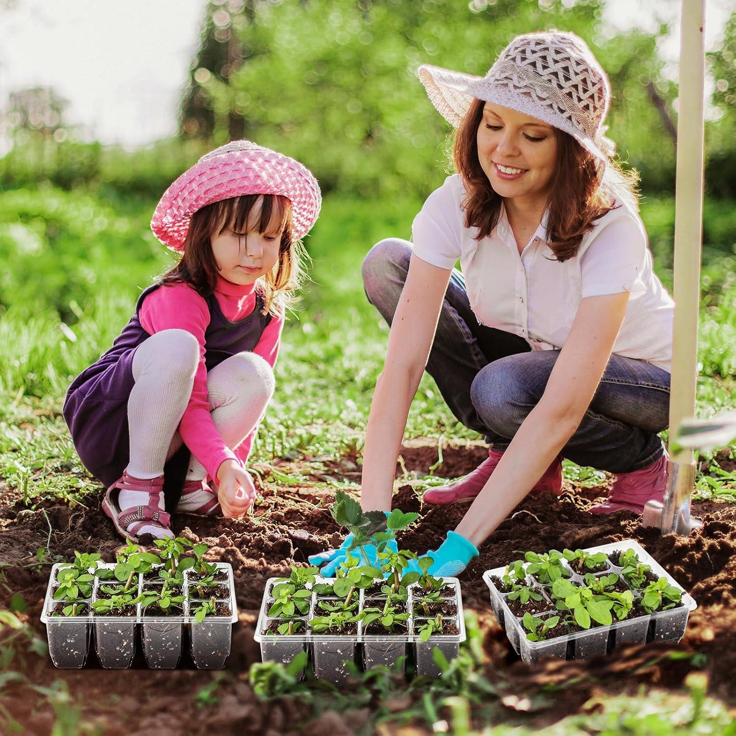 Bandejas de Germinación MIXC 30 Unidades 12 Celdas Transparentes