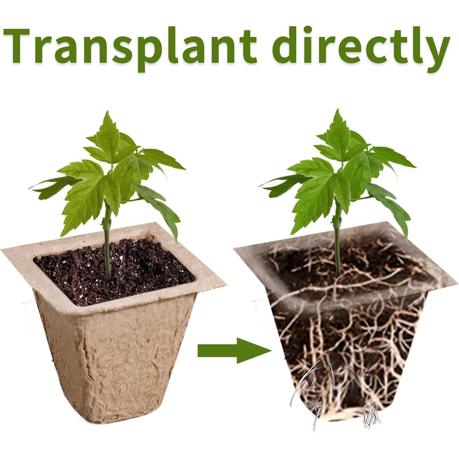 Bandeja de Inicio de Semillas SYITCUN 200 Celdas Biodegradables