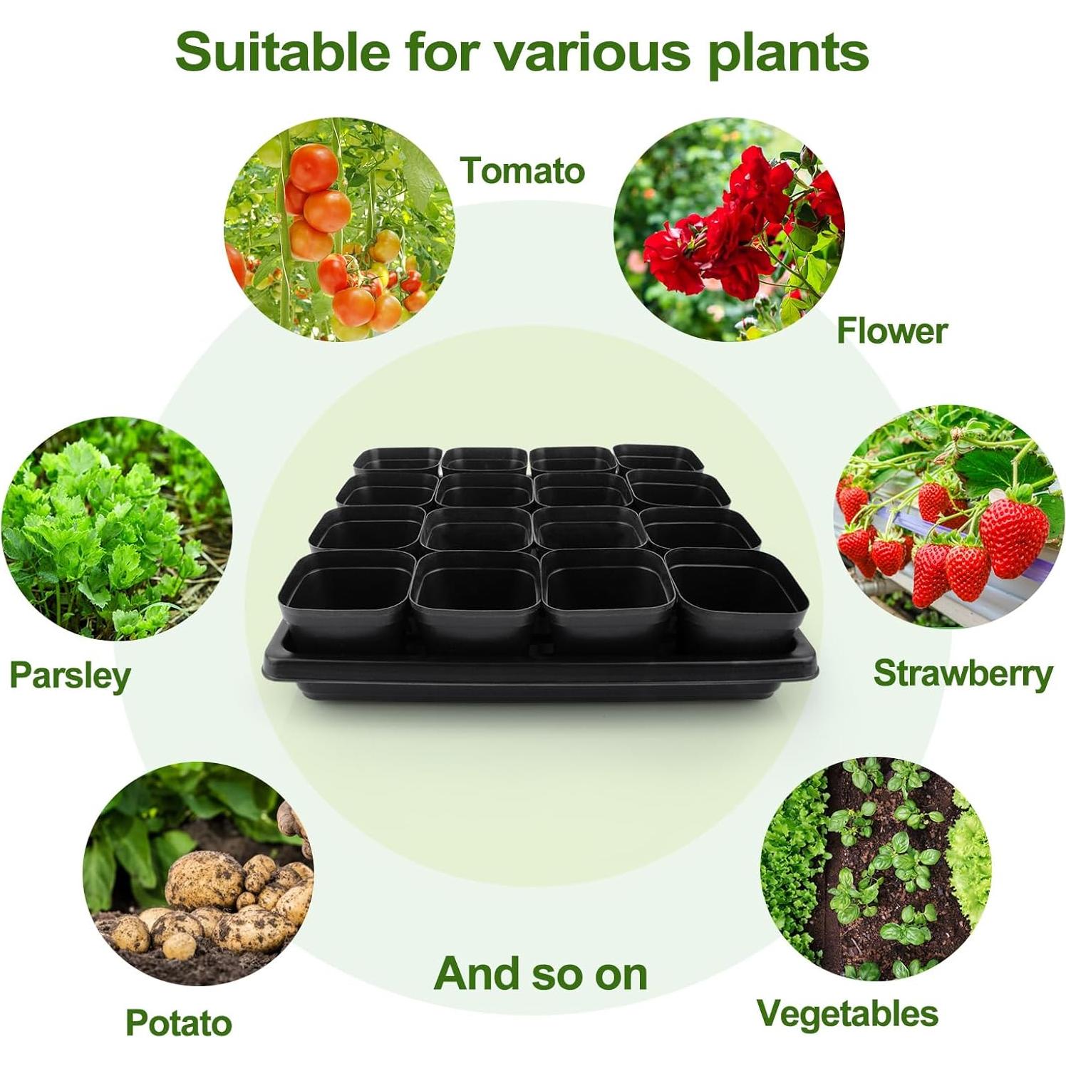 80 Macetas Cuadradas 2.5" Mlhezy con 5 Bandejas para Semillas