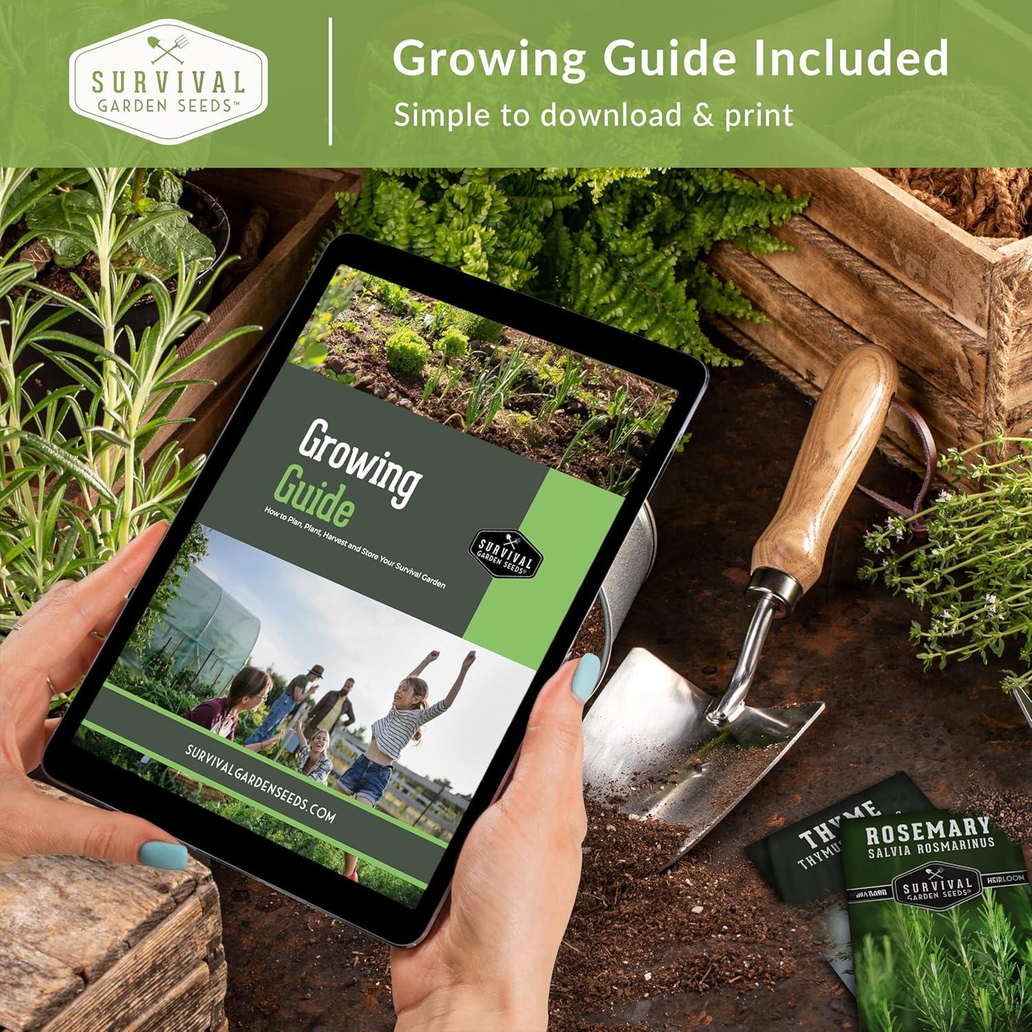 Kit de Semillas de Verduras - 20 Variedades No Transgénicas