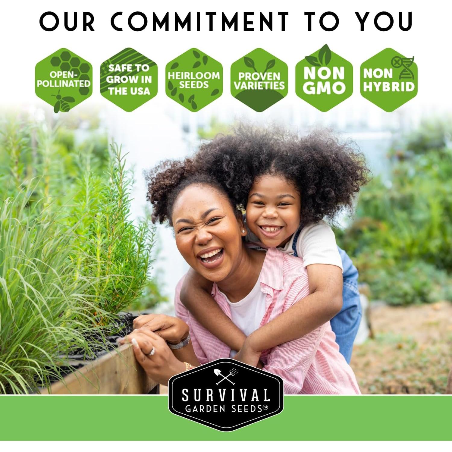 Kit de Semillas de Verduras - 20 Variedades No Transgénicas