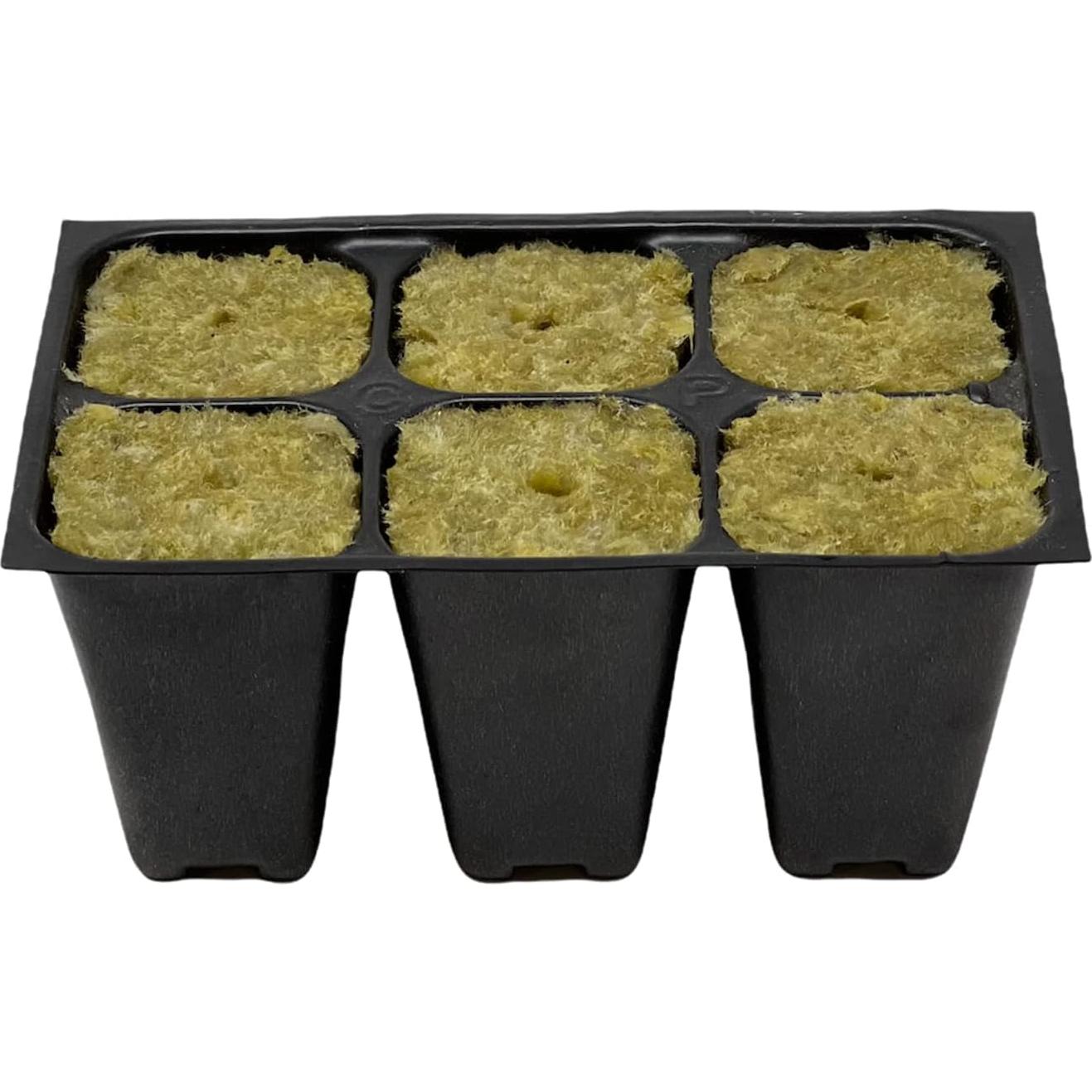 Bandeja de Inicio de Semillas La Ciudad Hidropónica 720 Celdas