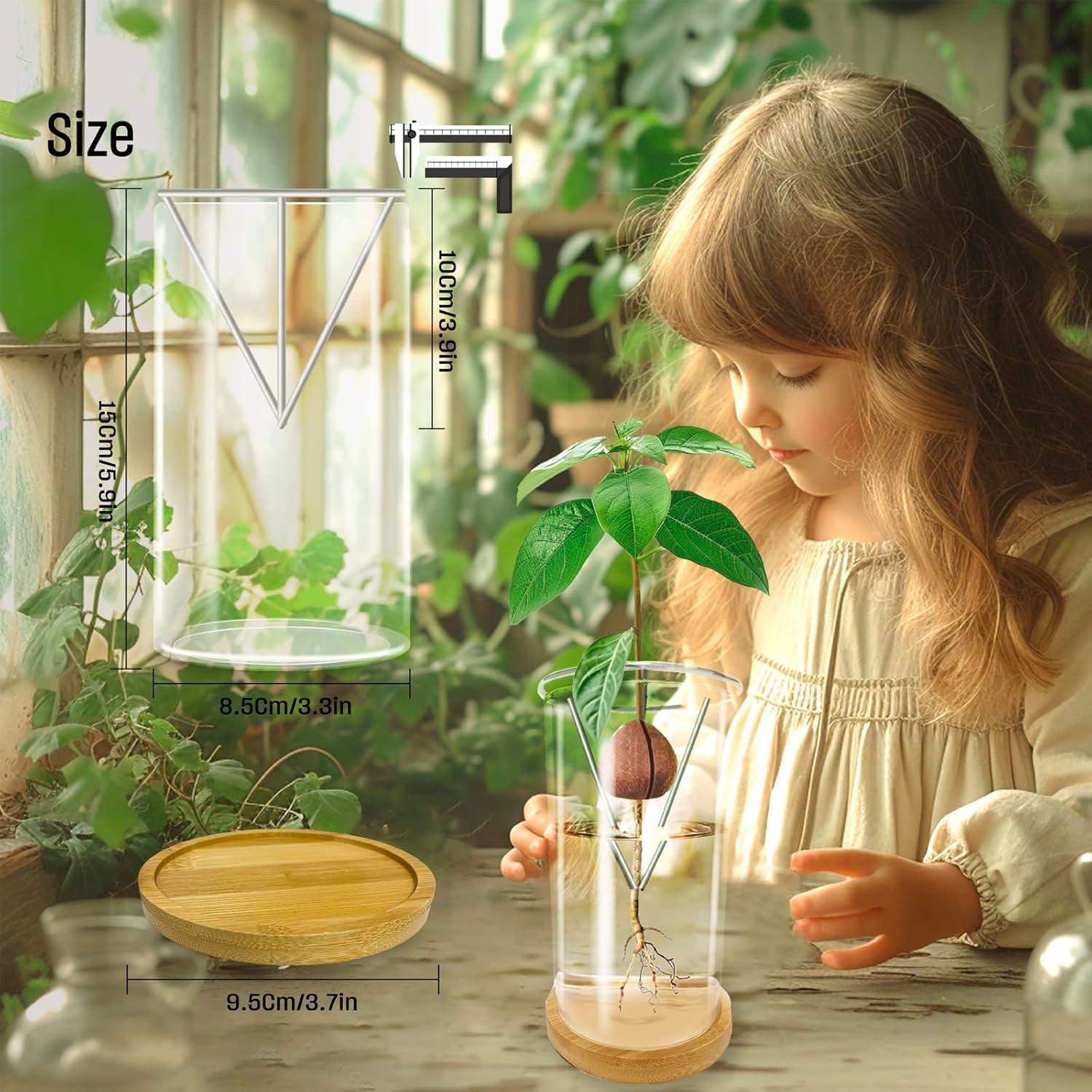 Jarrón de Germinación de Aguacate KONIDUN - Kit de Crecimiento