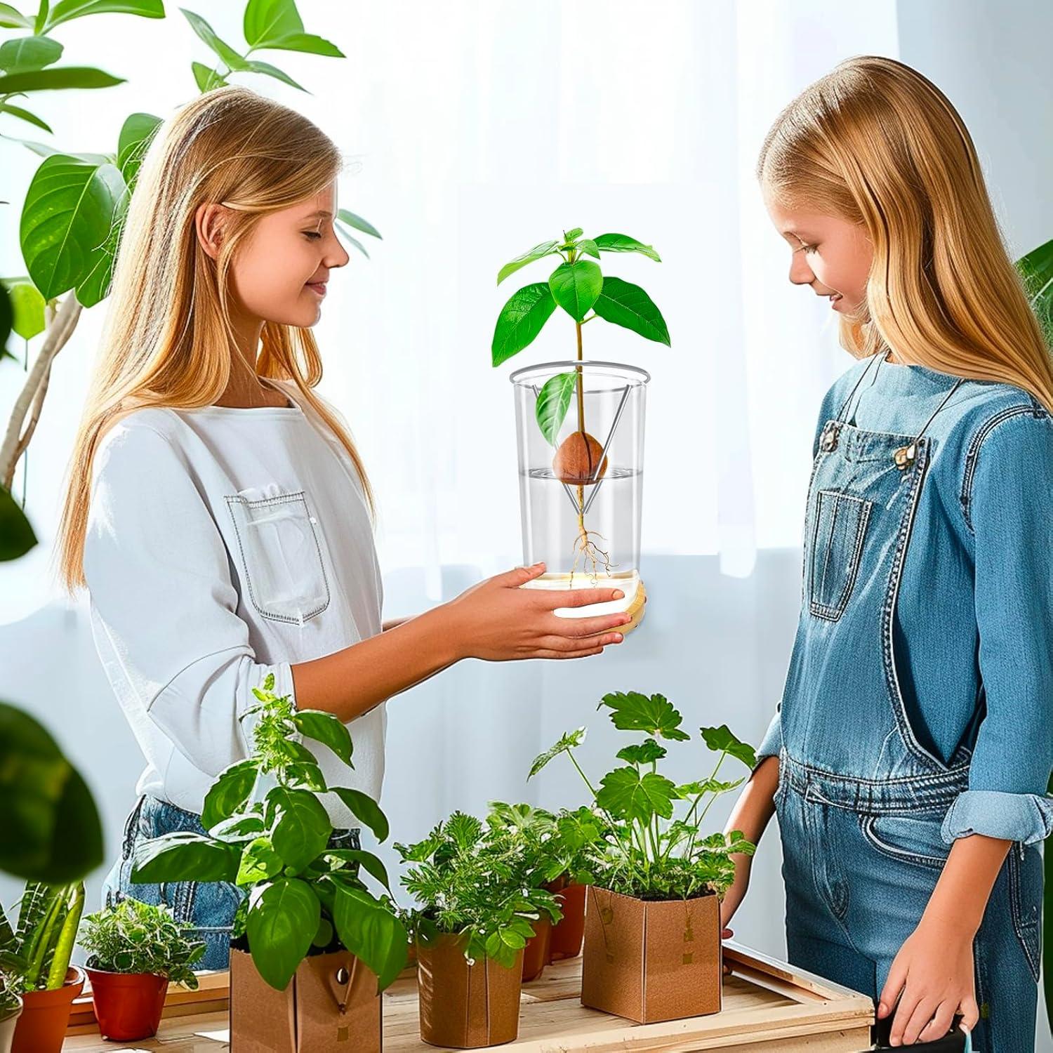 Jarrón de Germinación de Aguacate KONIDUN - Kit de Crecimiento